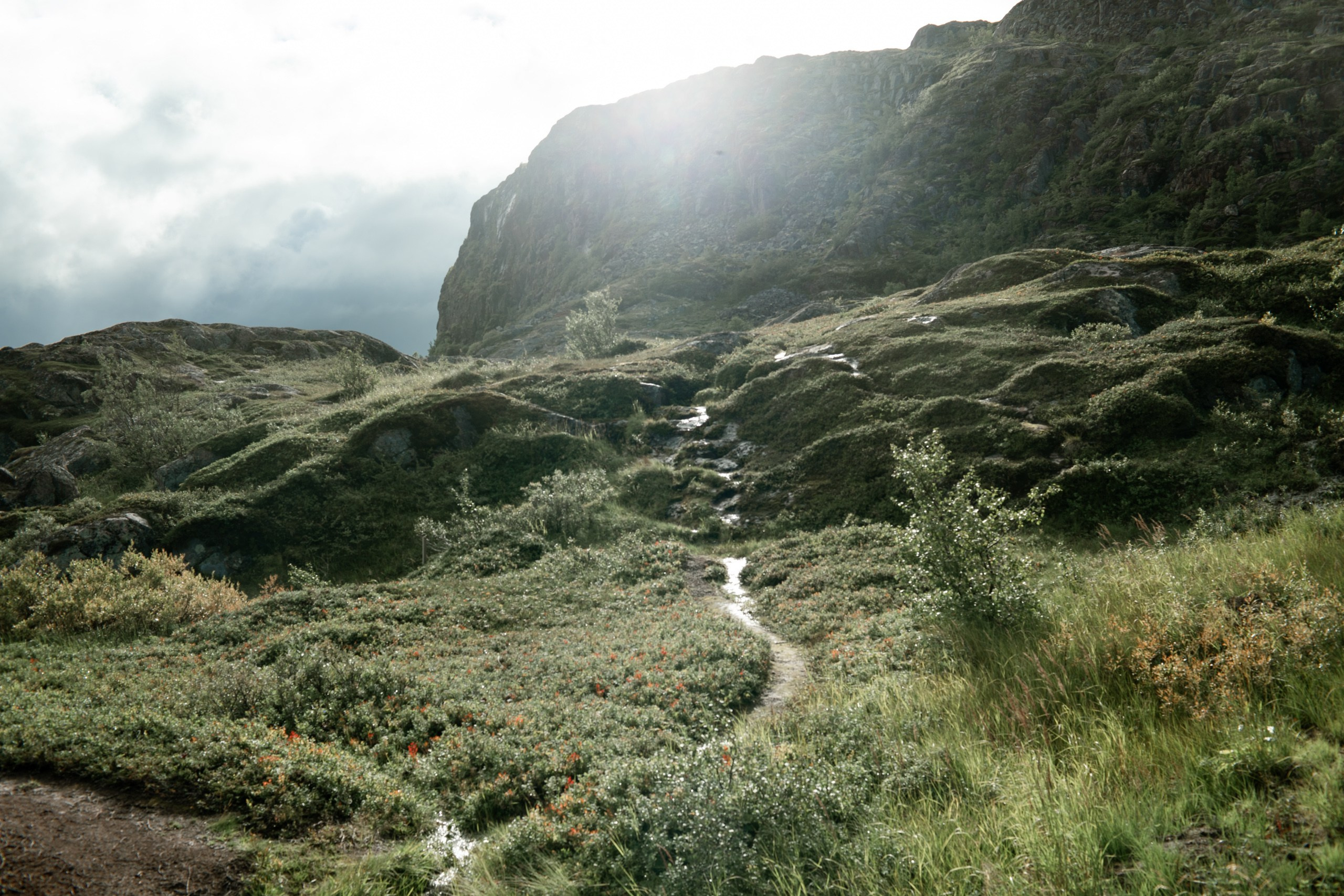 Мурманск. Фотограф Сергей Красильников