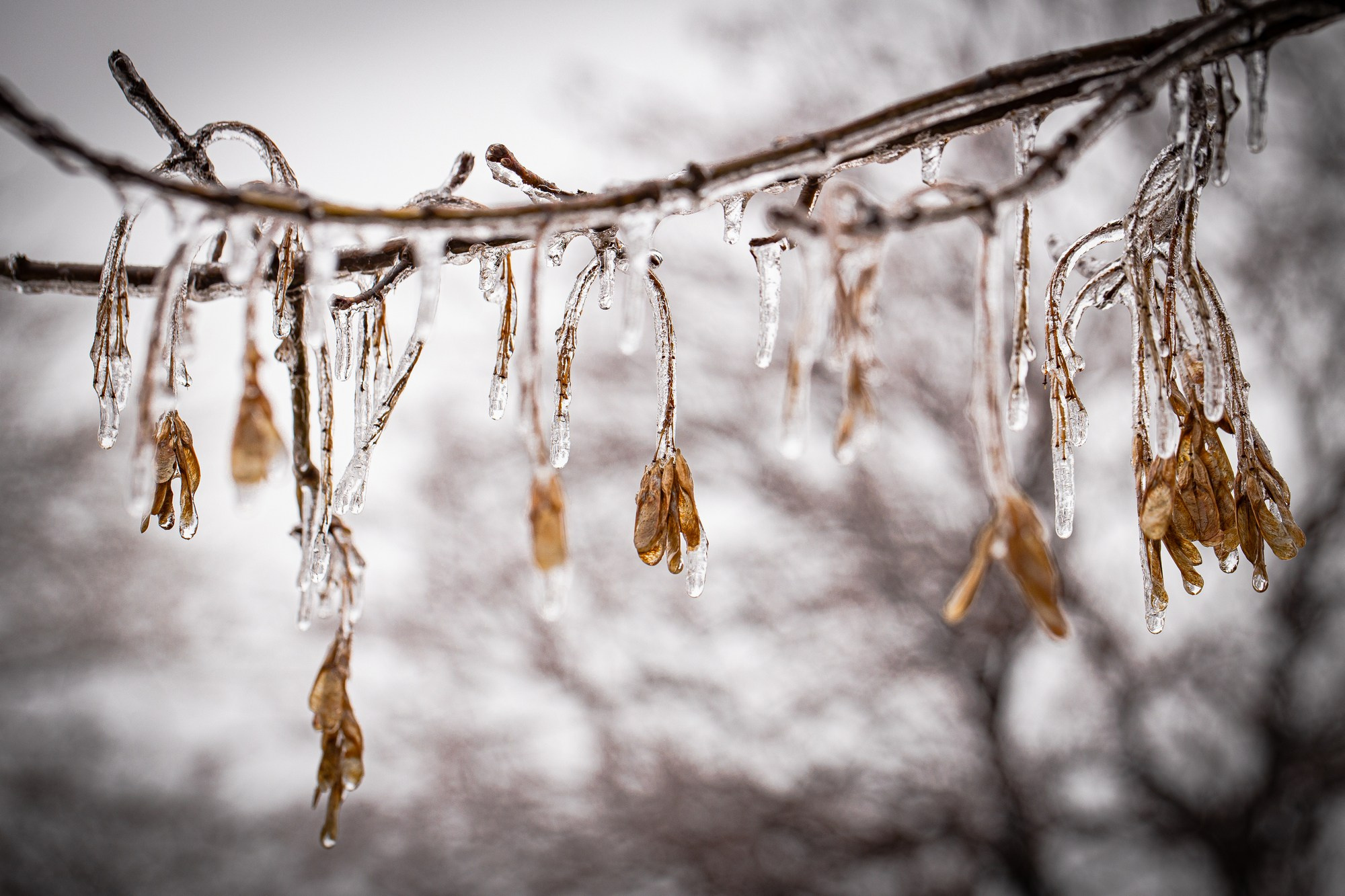 Фотограф. г. Южно-Сахалинск. Олег Толстов