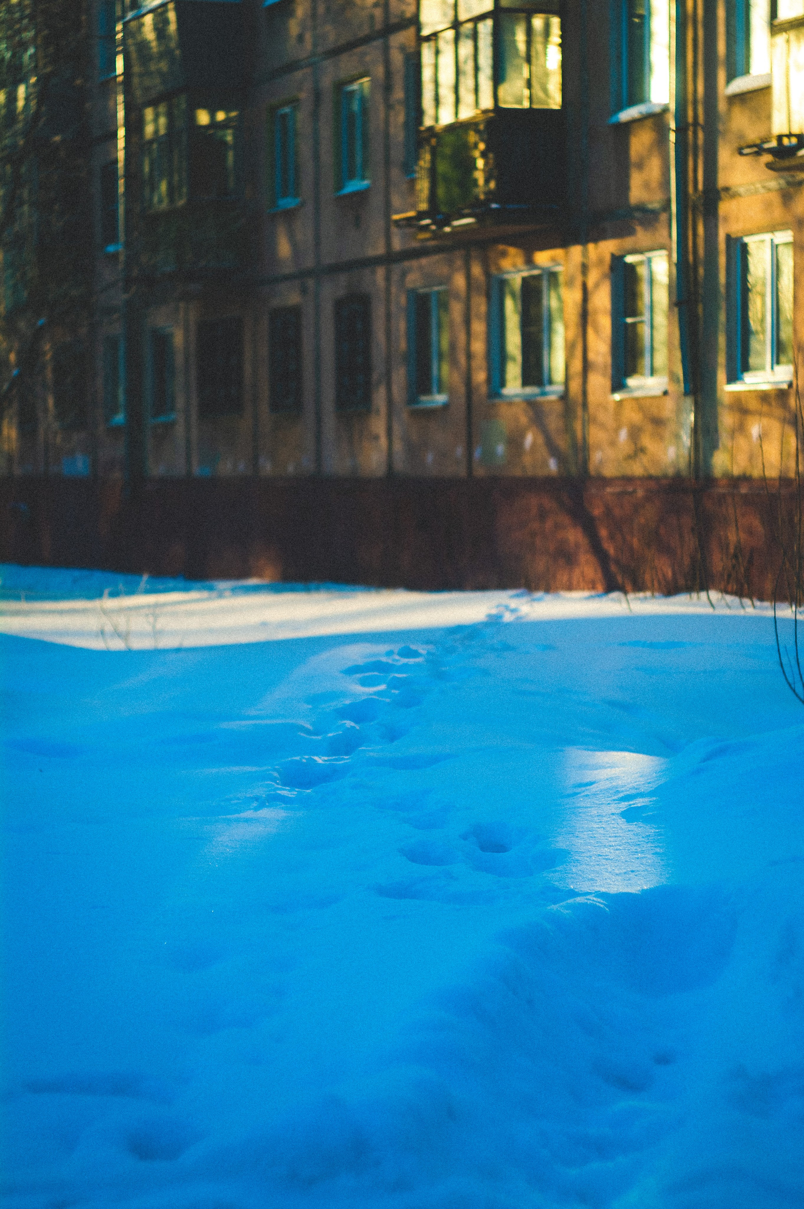 Замкнутые люди. Den Mirov — Фотограф, Музыкант