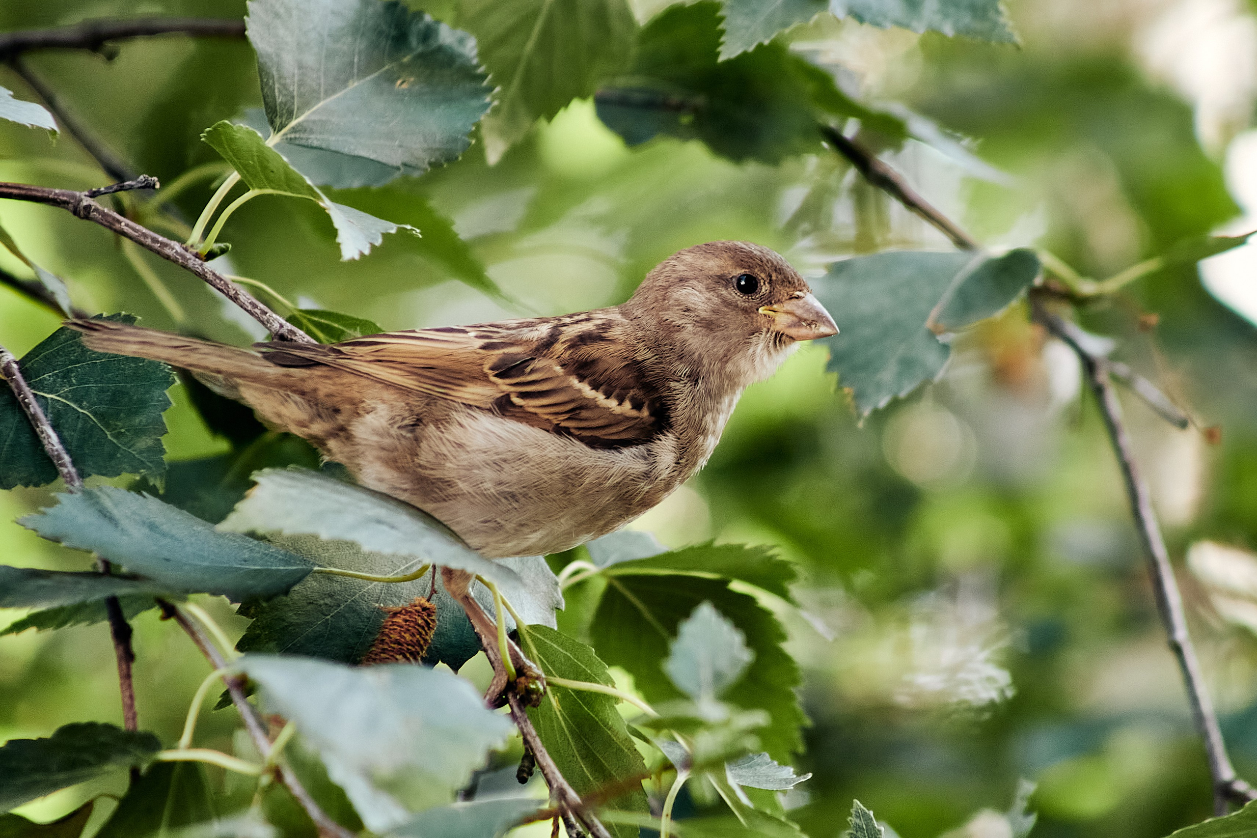 Репортажный фотограф в Архангельске Леонтьева Татьяна
