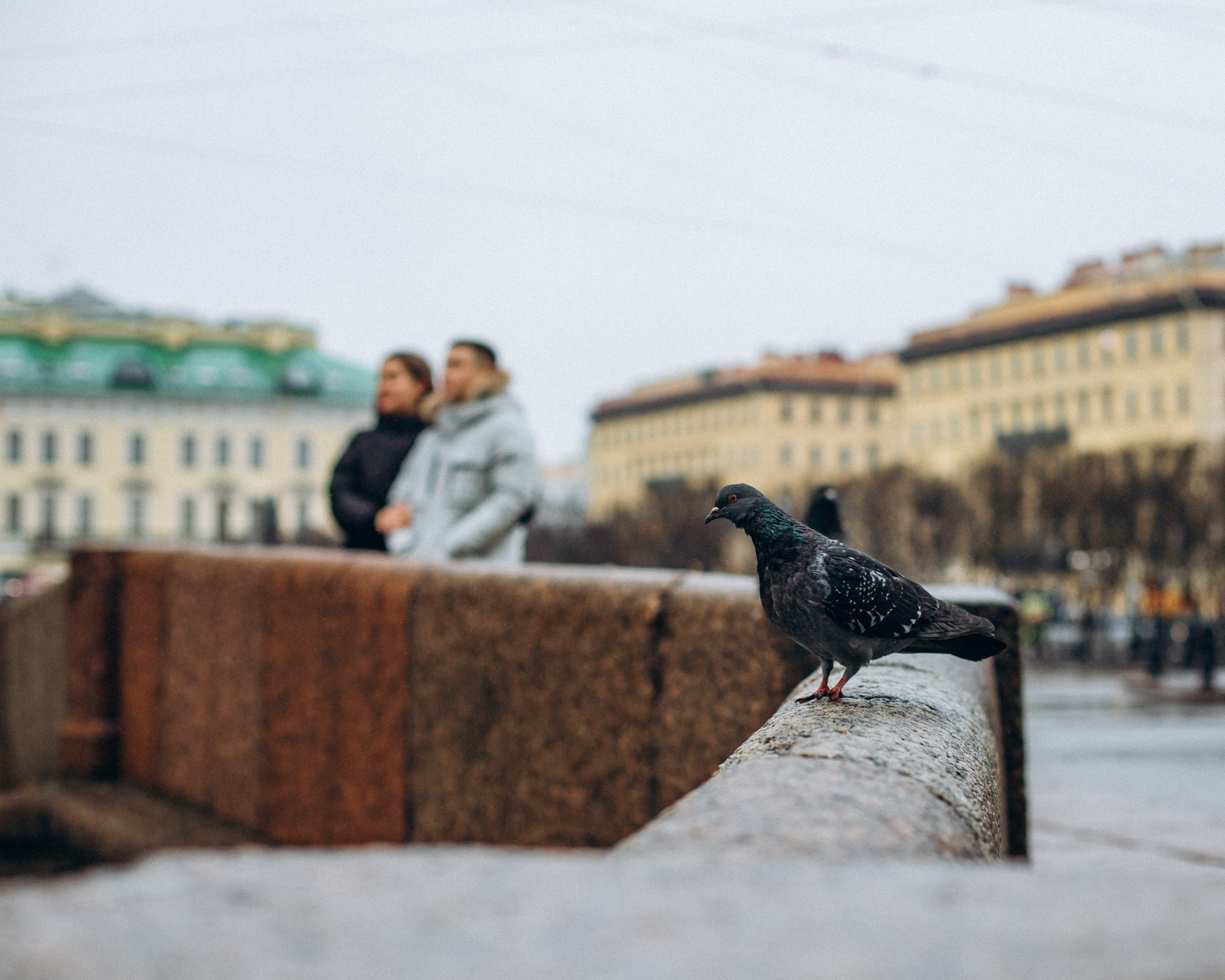 Иван и Полина в марте. Фотопрогулка в Петербурге. Индивидуальный и семейный фотограф в Санкт-Петербурге