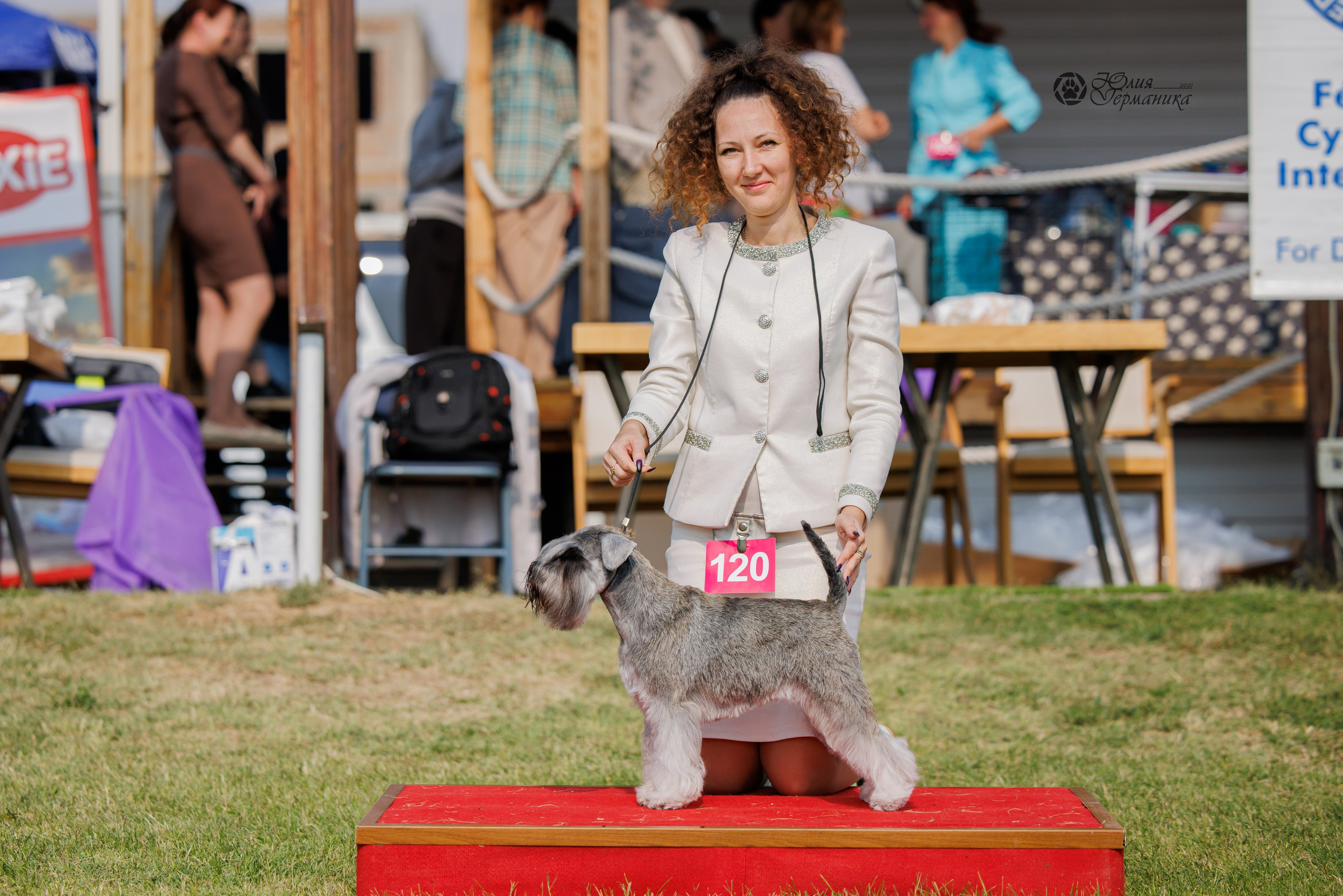 Армения,Ереван 3хCACIB 15-17.10.2024. Фотограф-анималист Юлия Германика