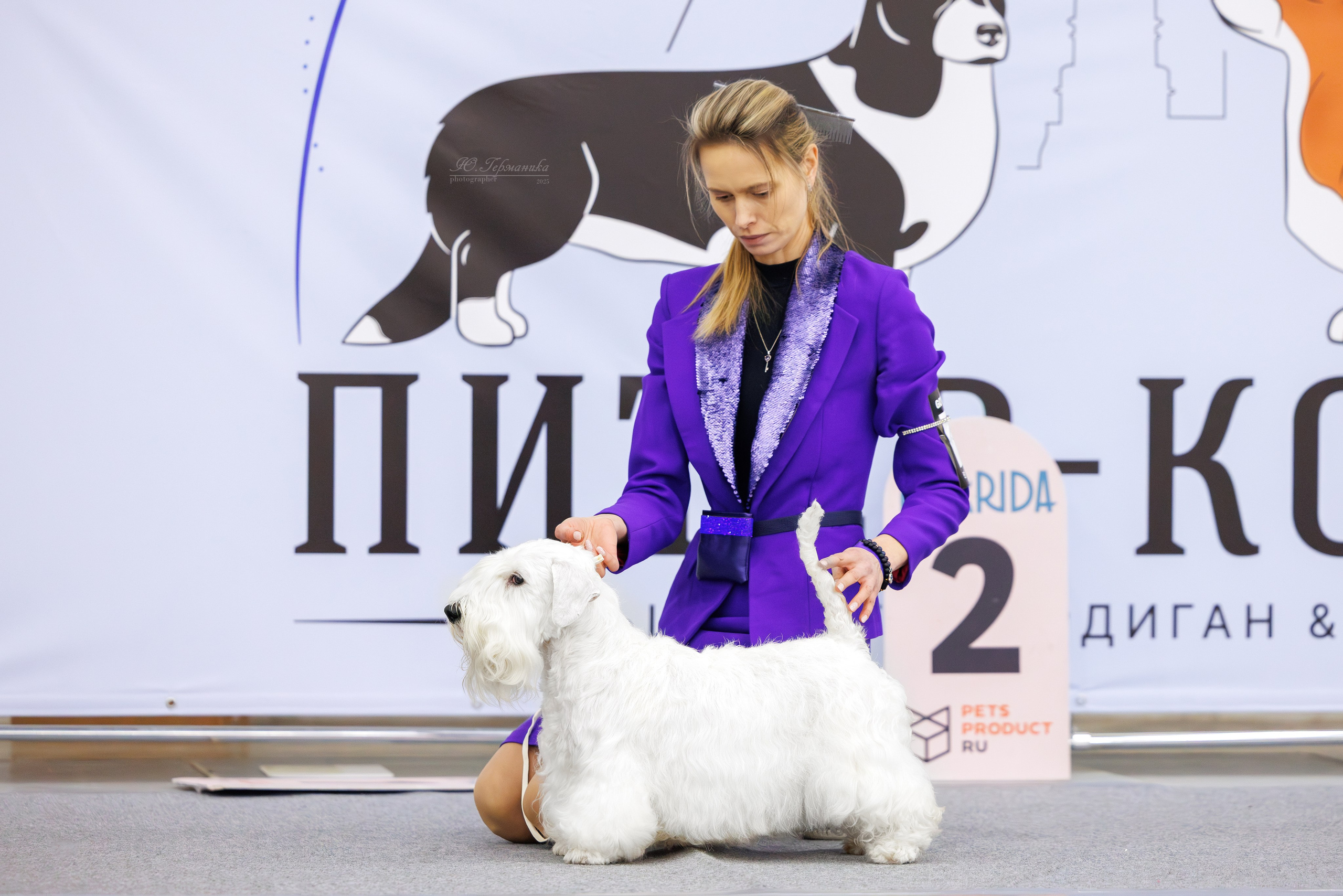 Питер 12-13.12.2025. Фотограф-анималист Юлия Германика