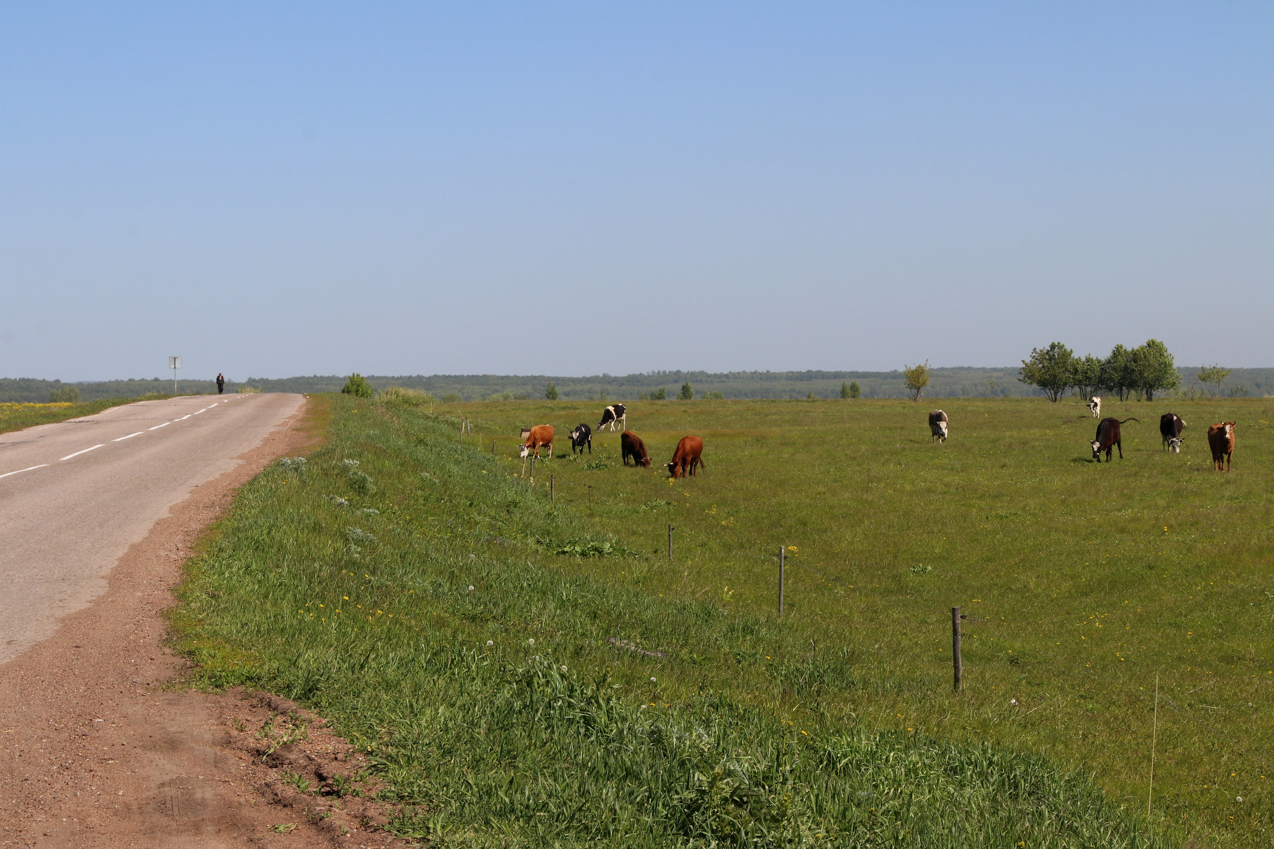 Велопоход Уфа — Мелеуз. Май 2024. Путешественник-фотограф из Санкт-Петербурга Татьяна Свистулина