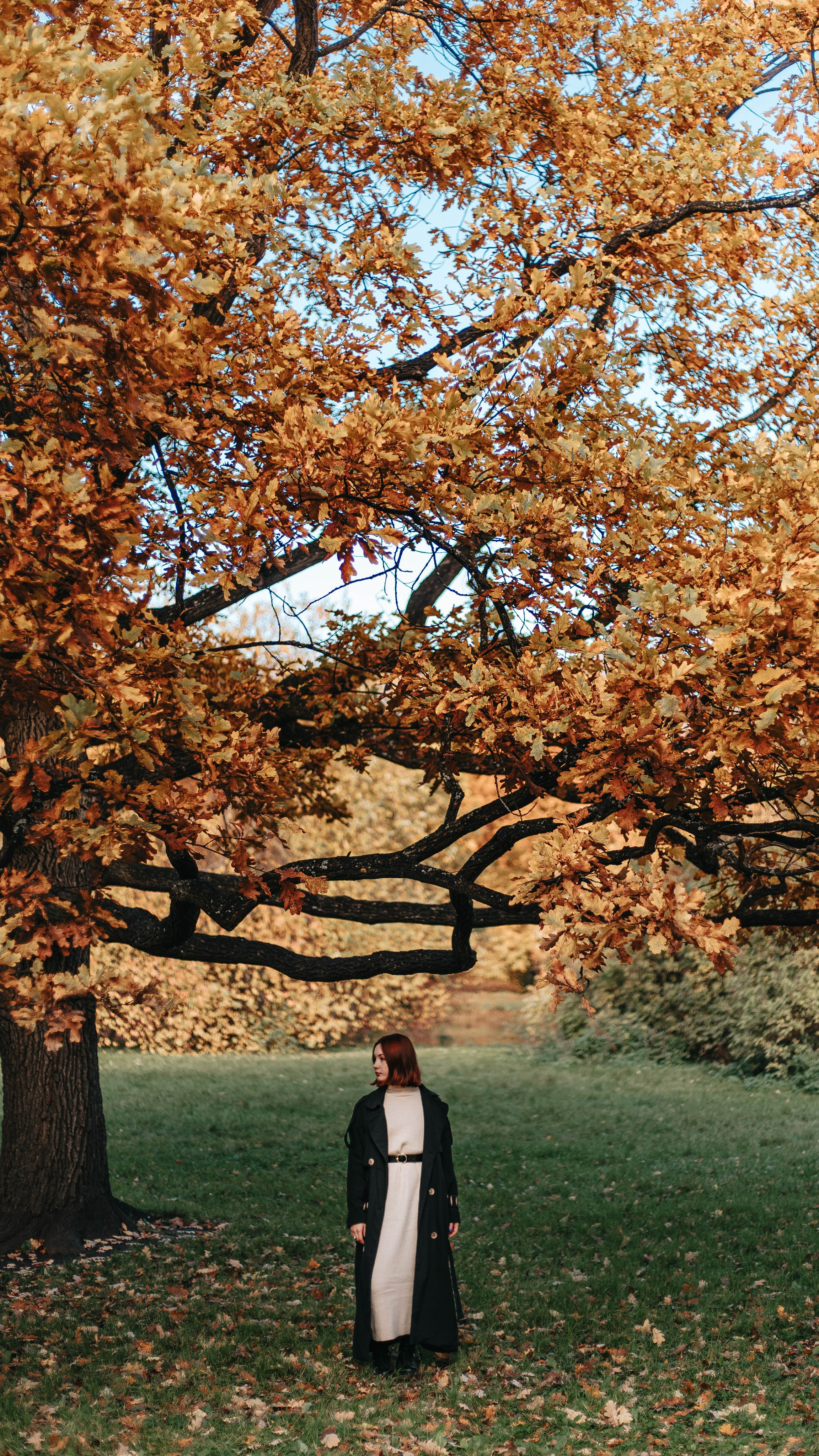 Света. Главная