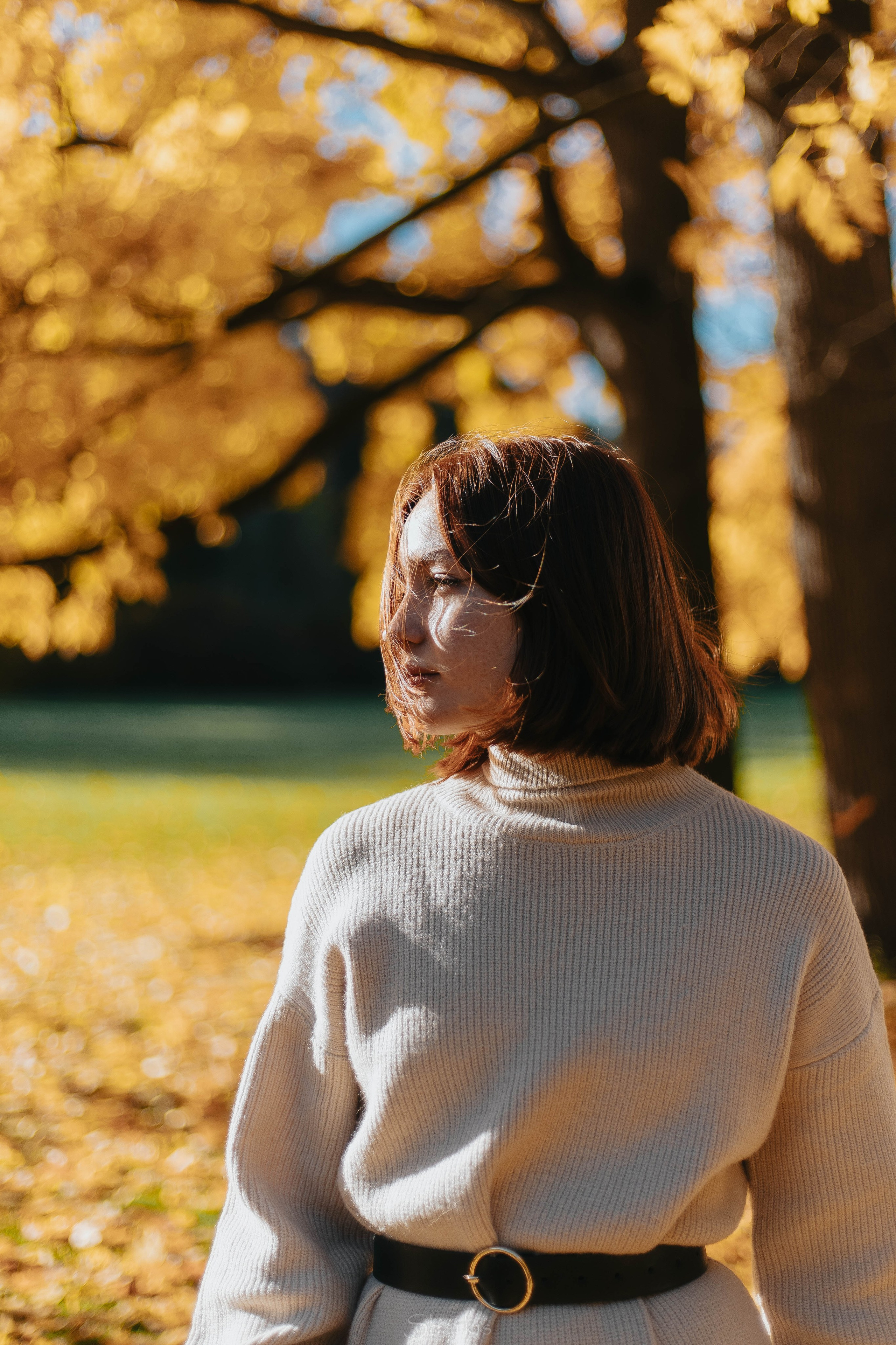 Света. Главная