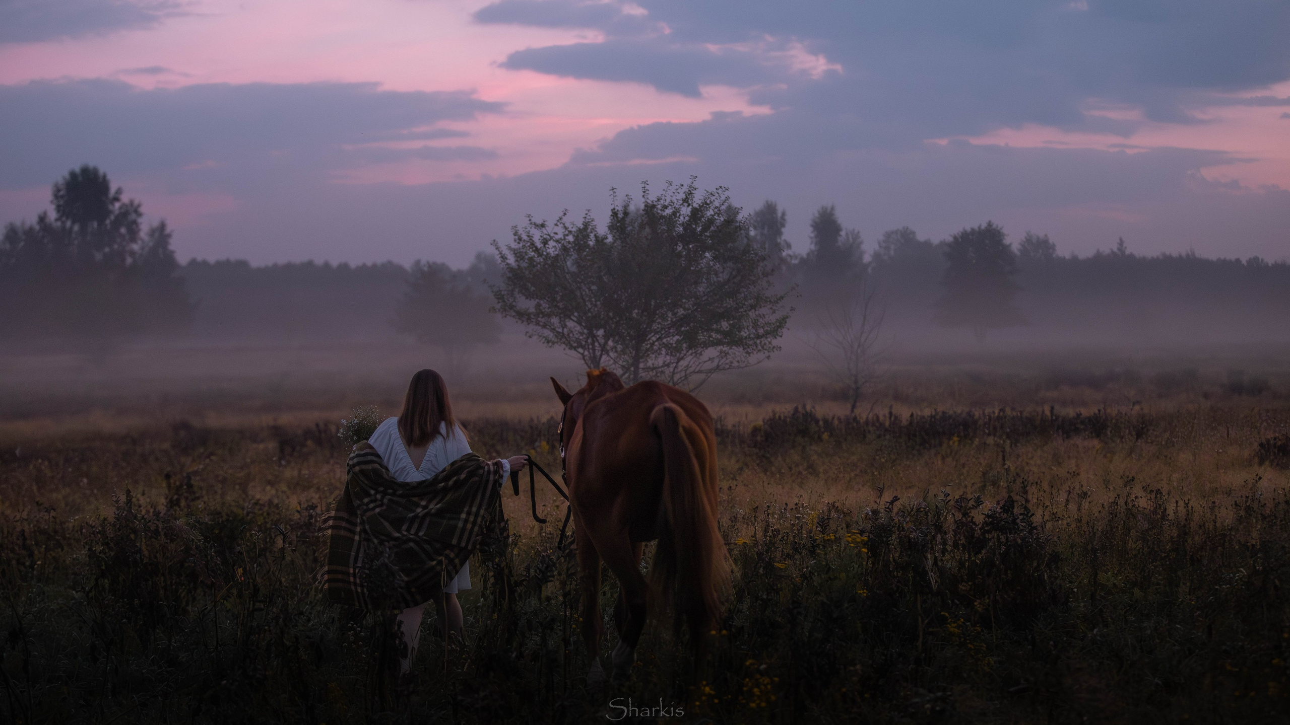Аня и Гас. Главная