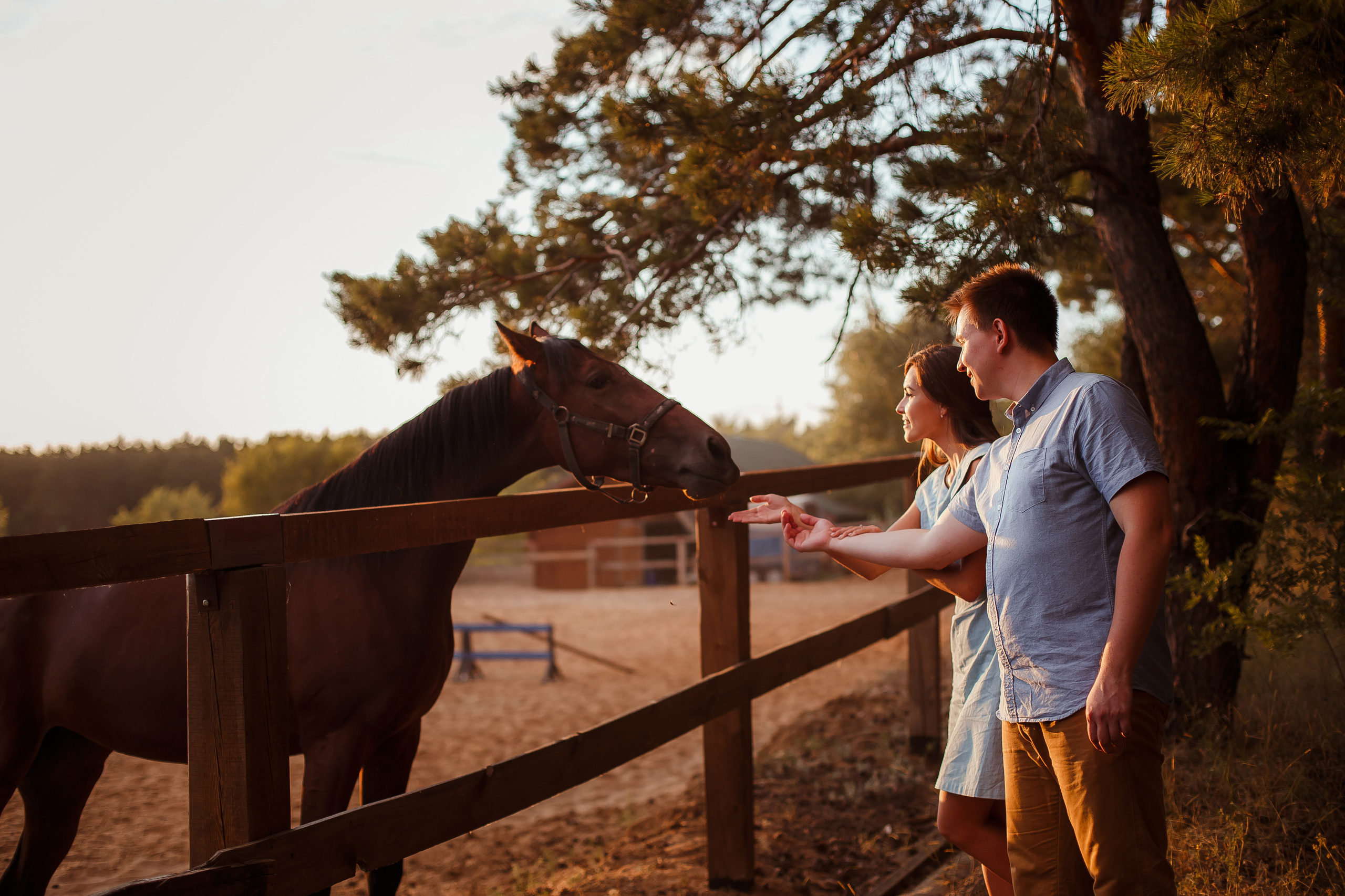 Илья & Настя. Свадебный и семейный фотограф в Саратове Екатерина Ромакина