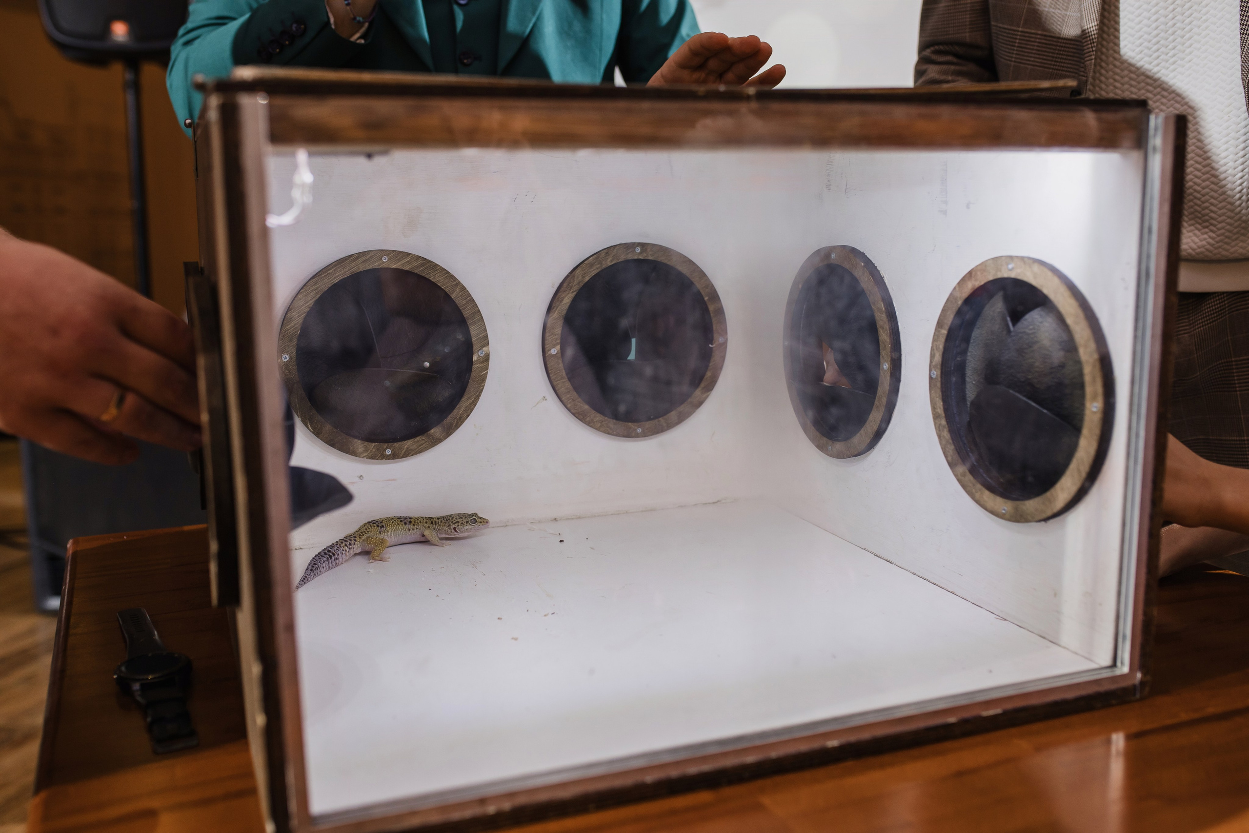 Андрей & Елена. Свадебный фотограф в Новосибирске Анжелика Шамсутдинова