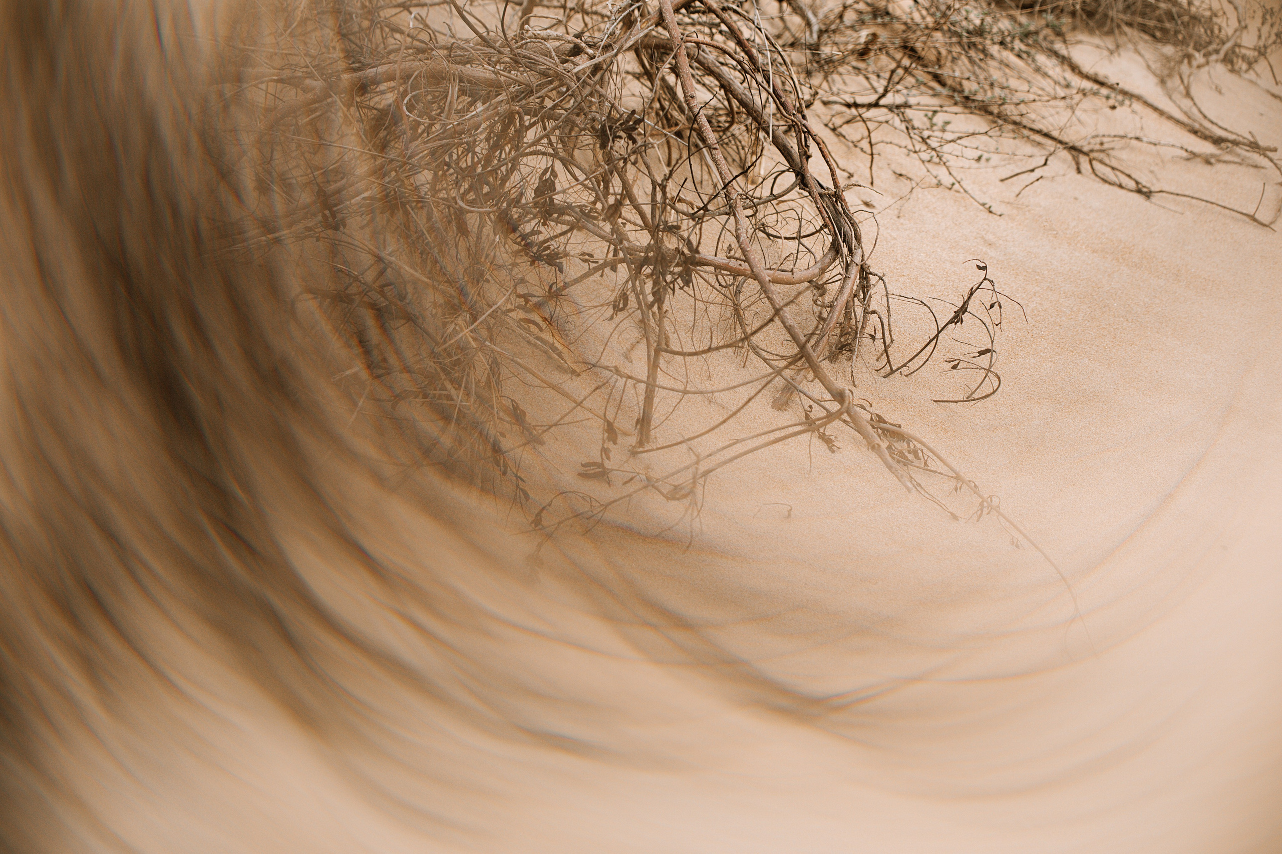 Природа. Свадебный и семейный фотограф/видеограф в Краснодаре Наталья Осинская