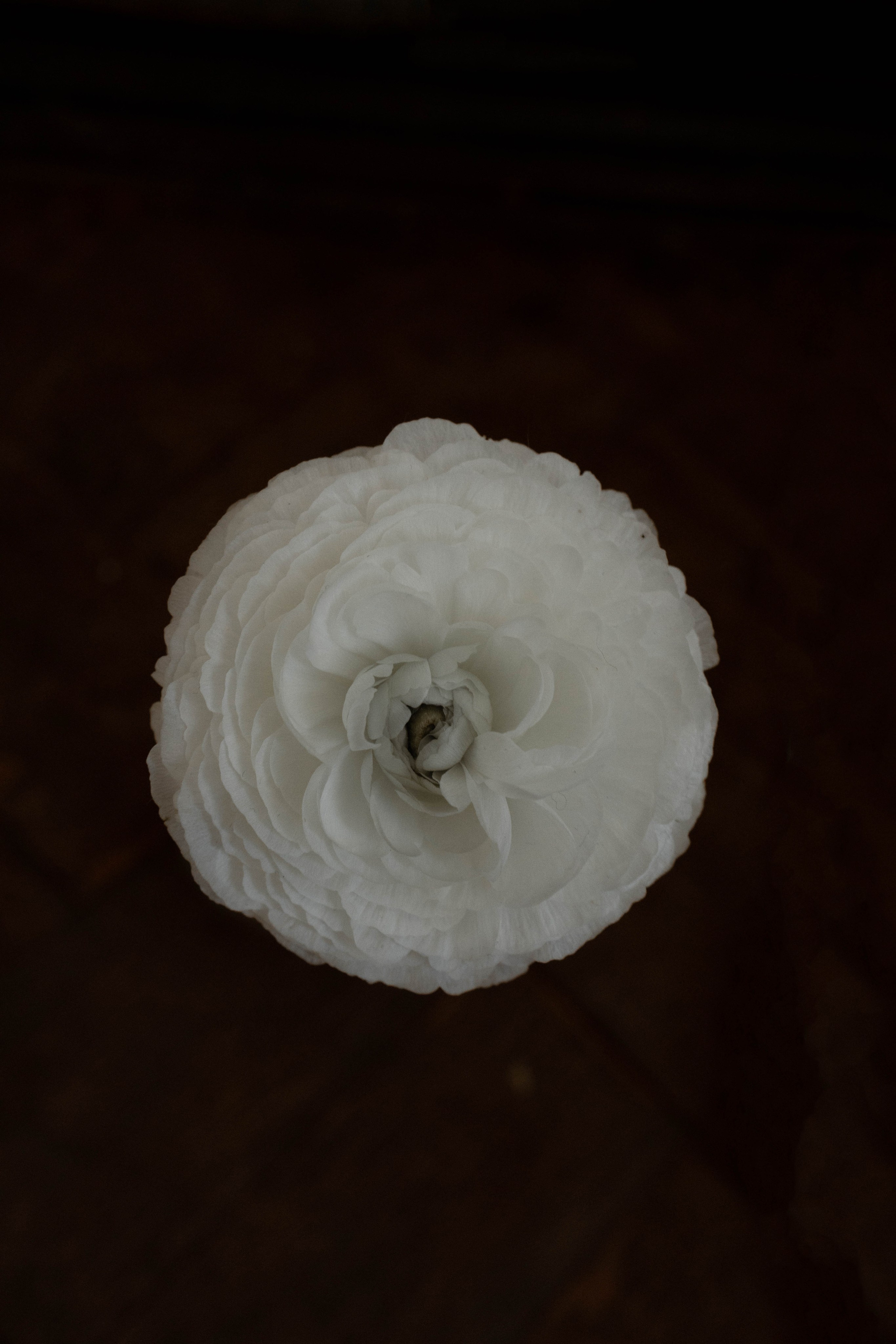 АНЯ. Карина Городецкая | Фотограф Нижний Новгород