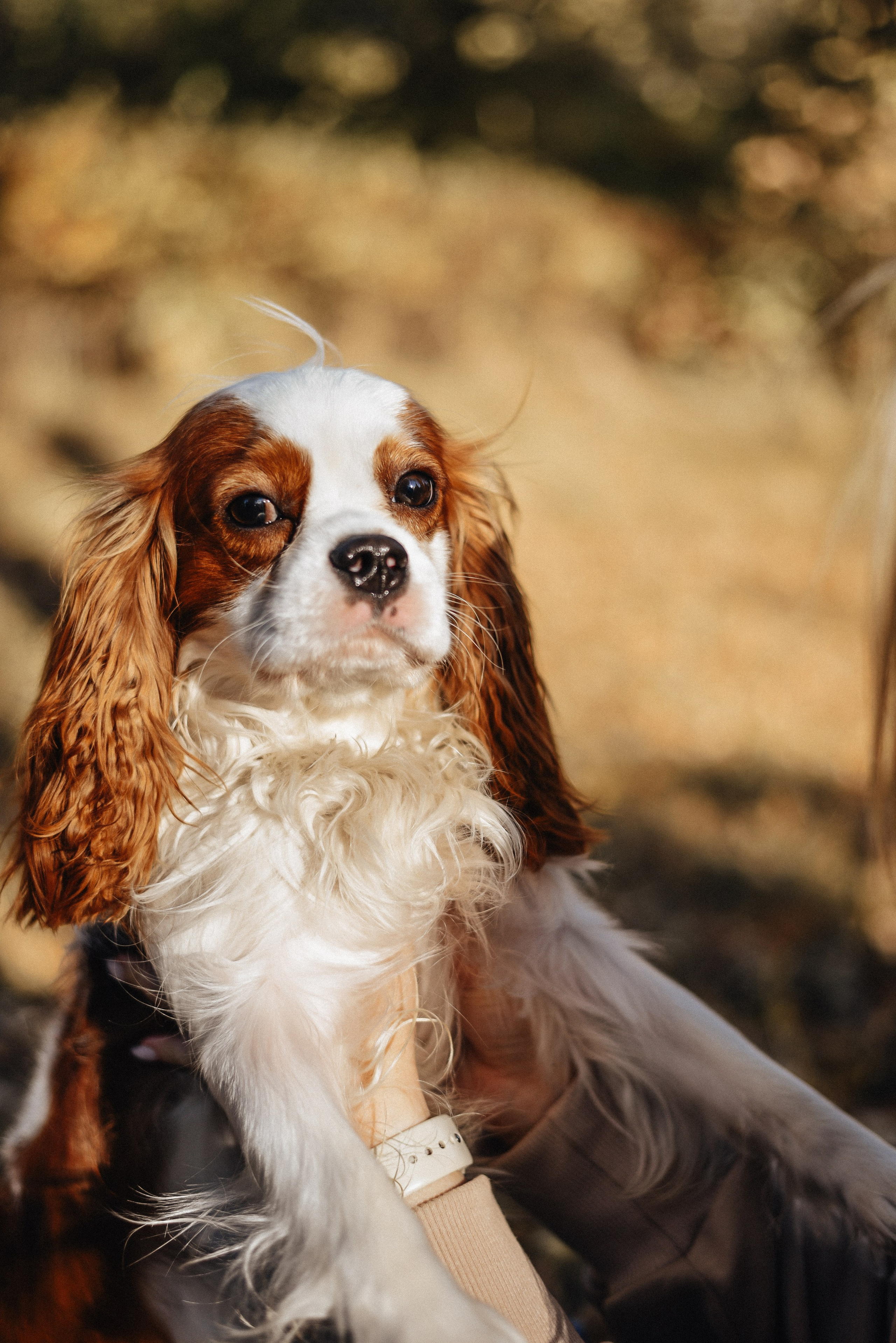 Аня + Арни. Фотограф в Москве и Королёве Сутягина Мария
