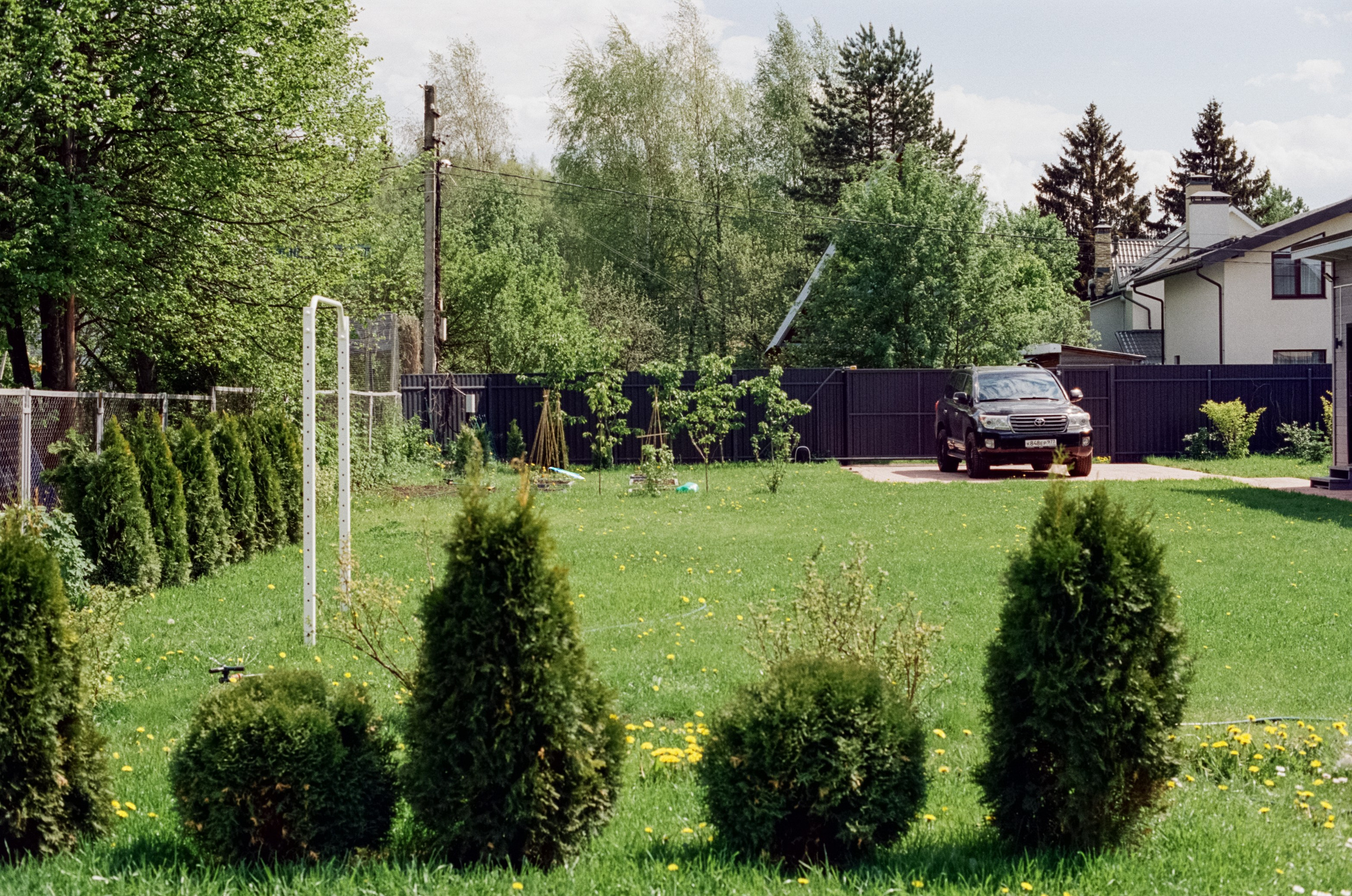 Nikon F100 — Micro-Nikkor-P.C Auto 55 mm f3.5 | май 2025 года | Давыдовское