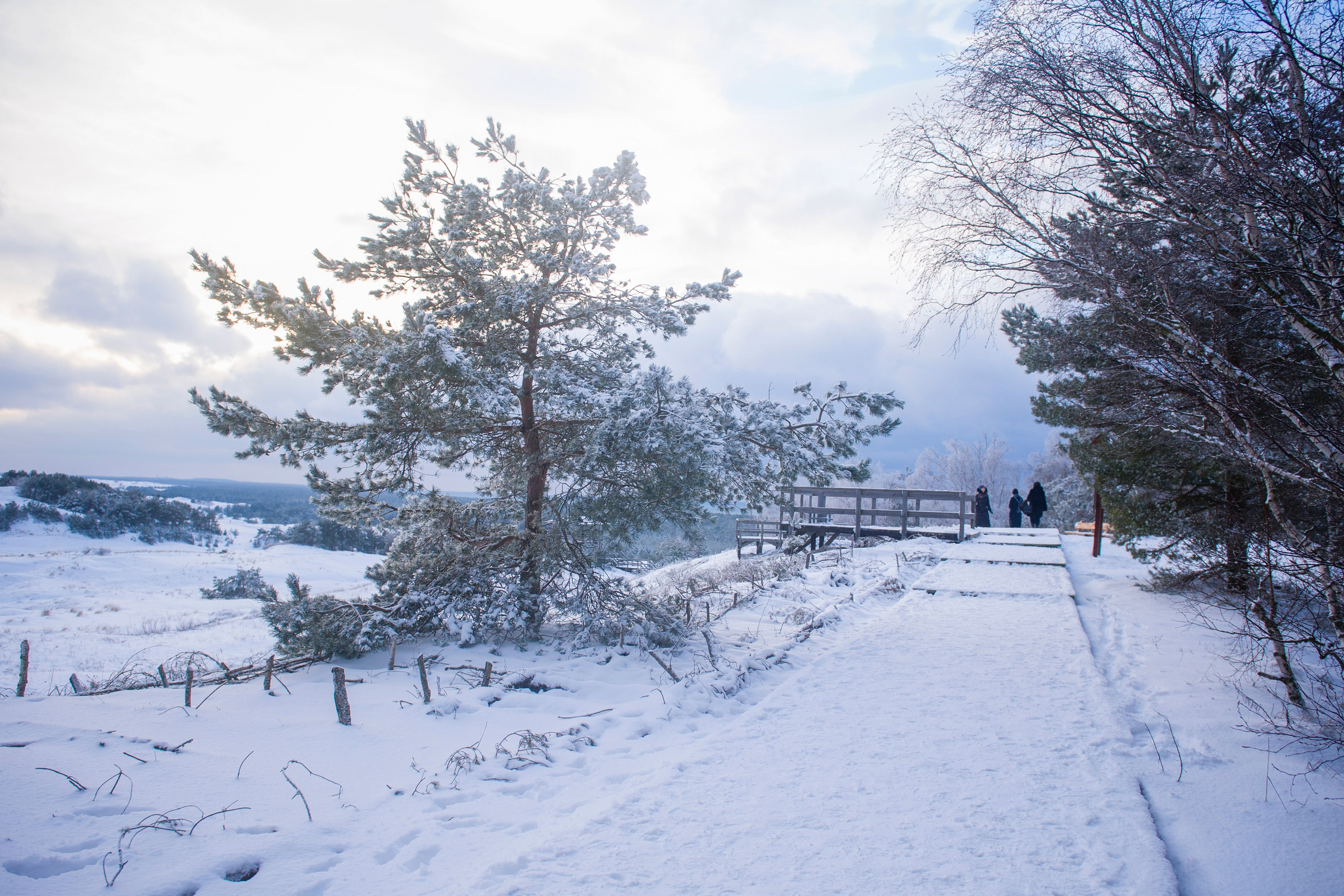 ФОТОПРОГУЛКИ. Фотограф Вера Демидкова