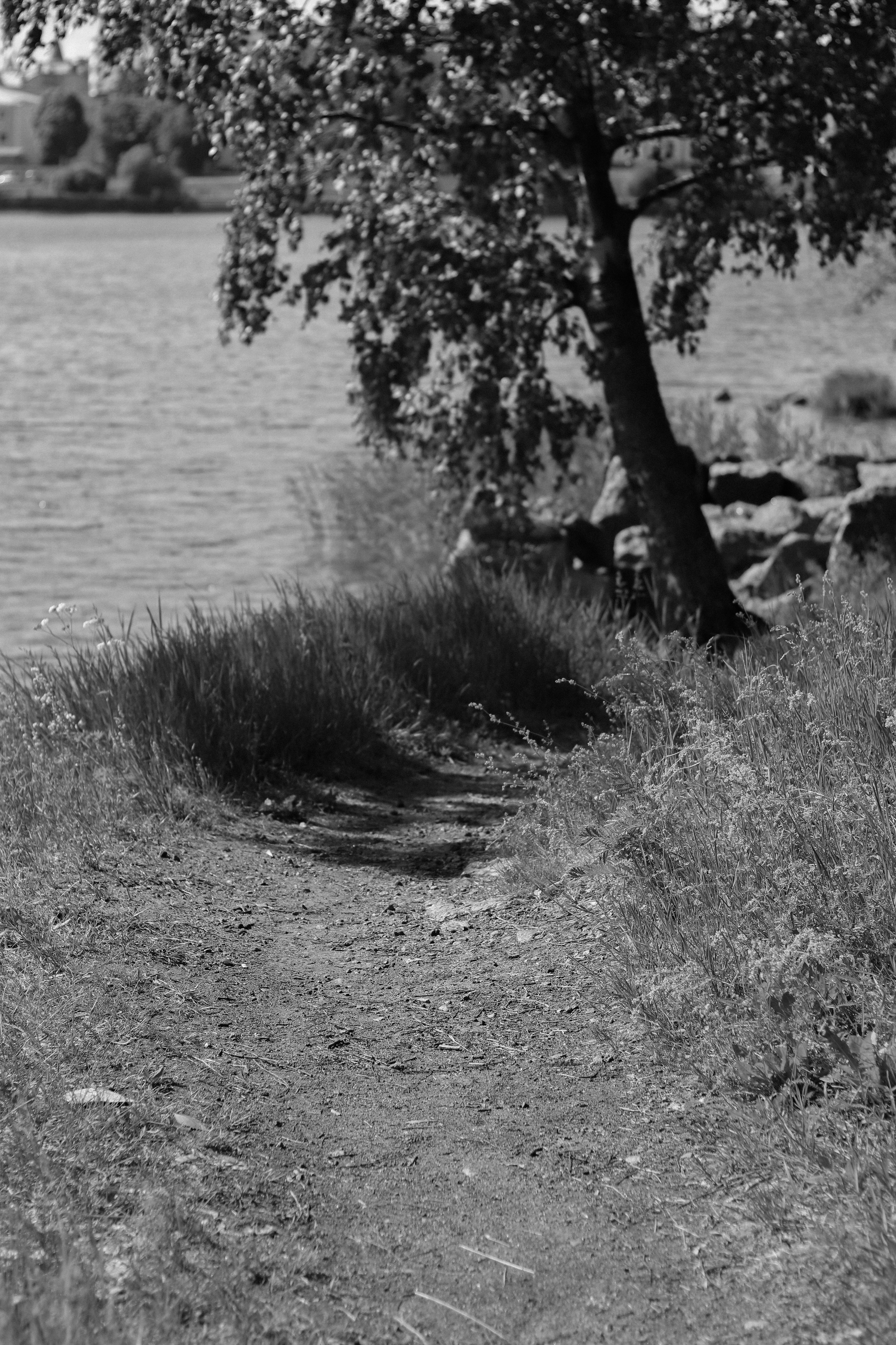 Contour. Фотограф и исследователь фотографии из Санкт-Петербурга Елизавета Веприцкая