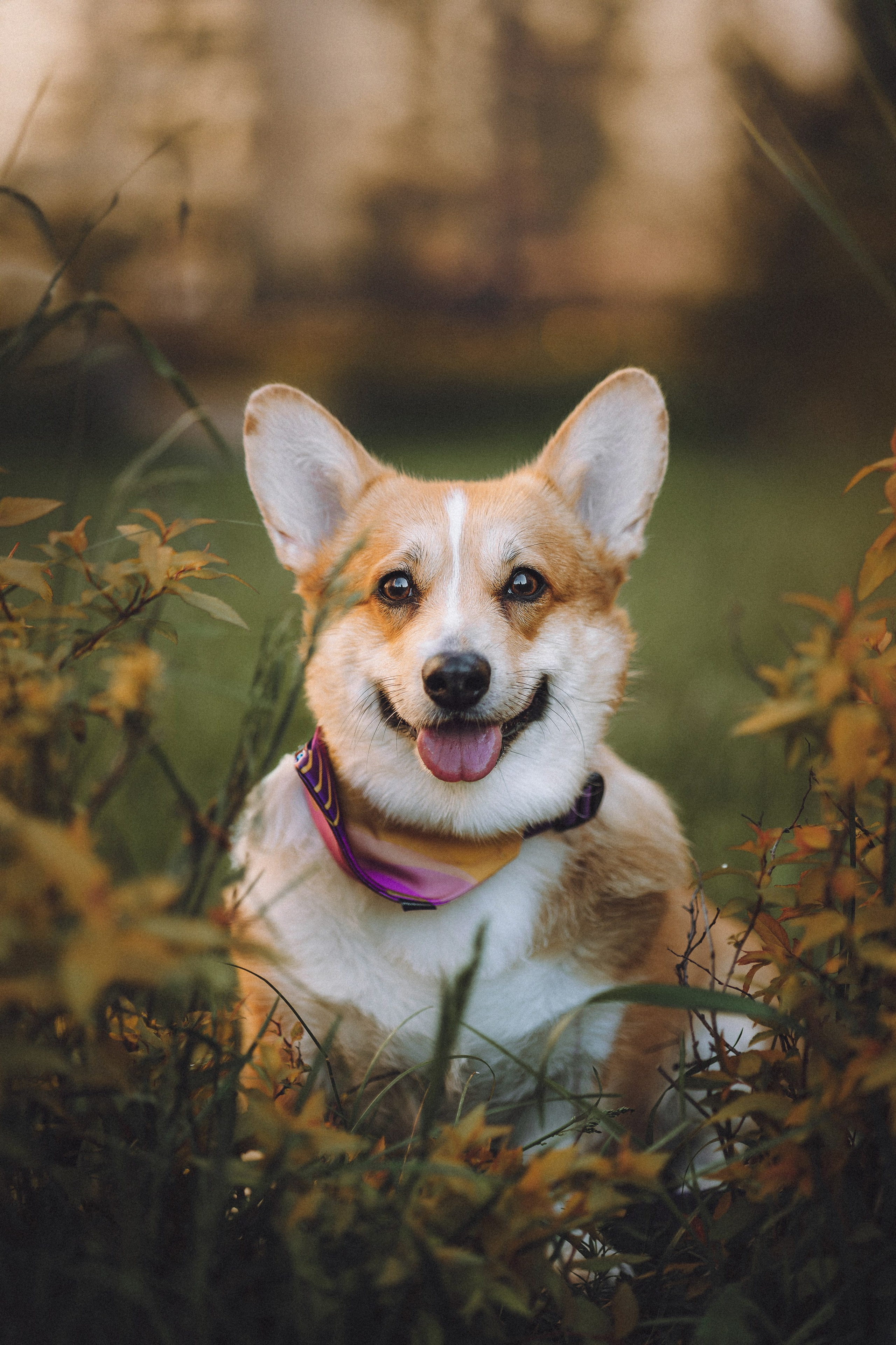 Вика и Мейзи