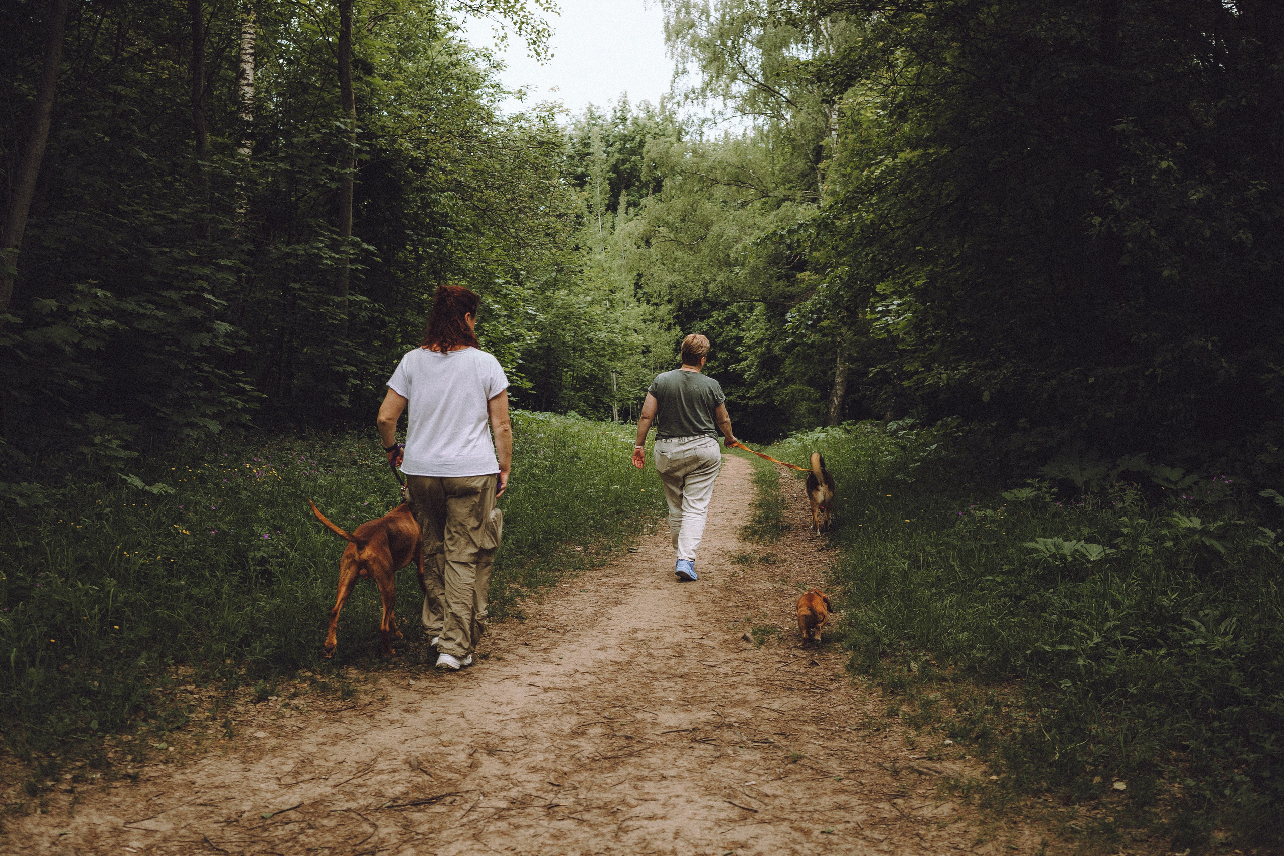 Груша, Данни, Фунтик и их семья