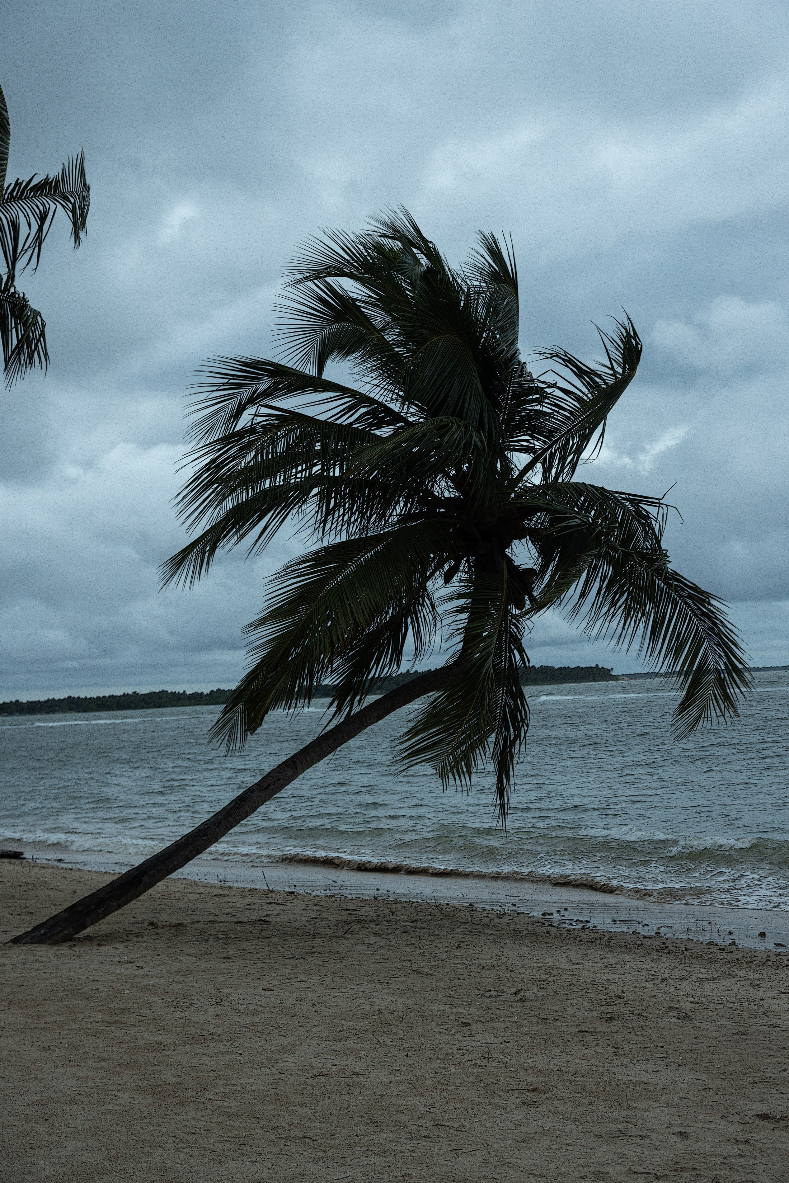 Amazing Ceylon. Art Рhotographer Russia/Moscow