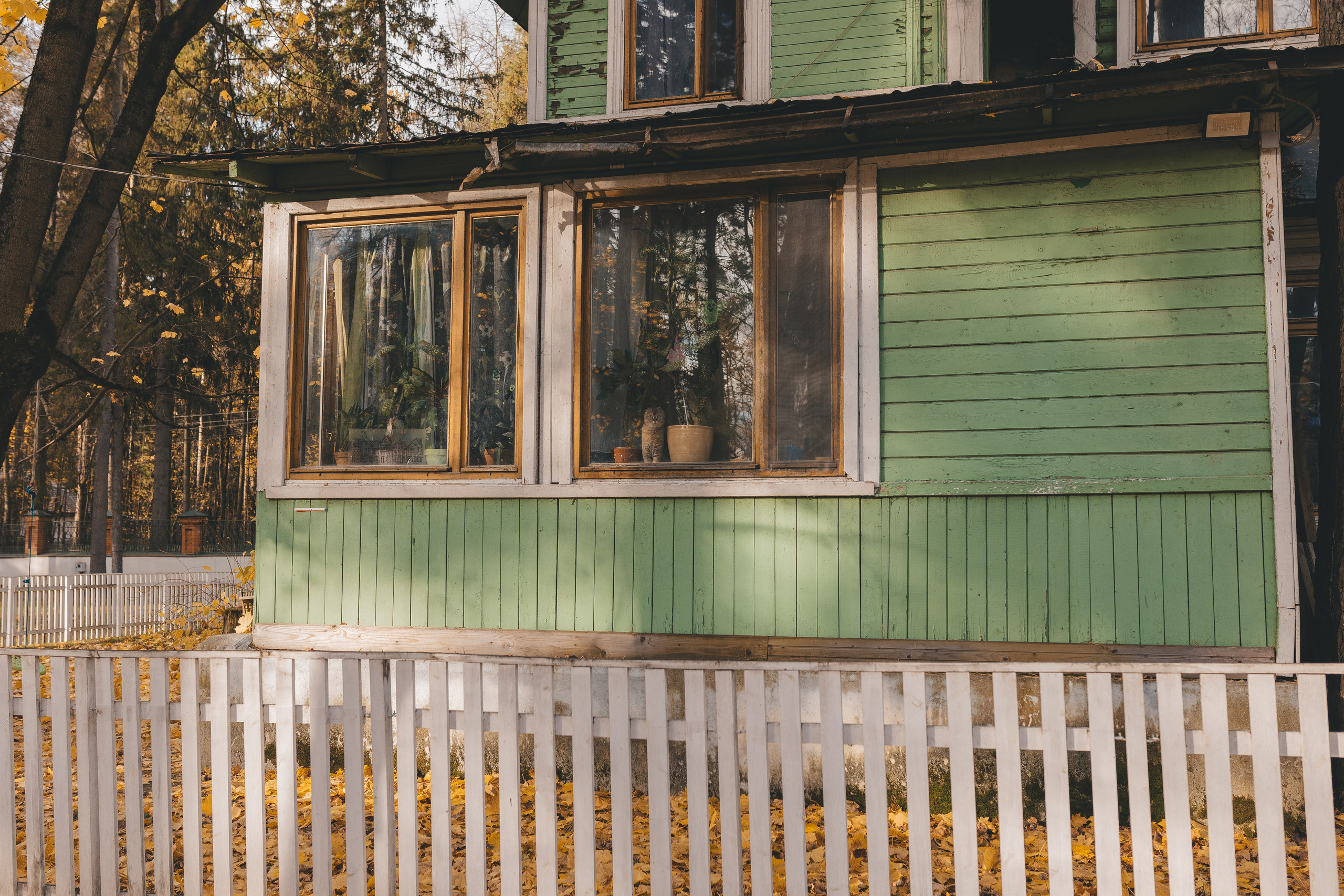 Репортаж школьной экскурсии. Семейный и женский фотограф в Москве Надежда Воробьева
