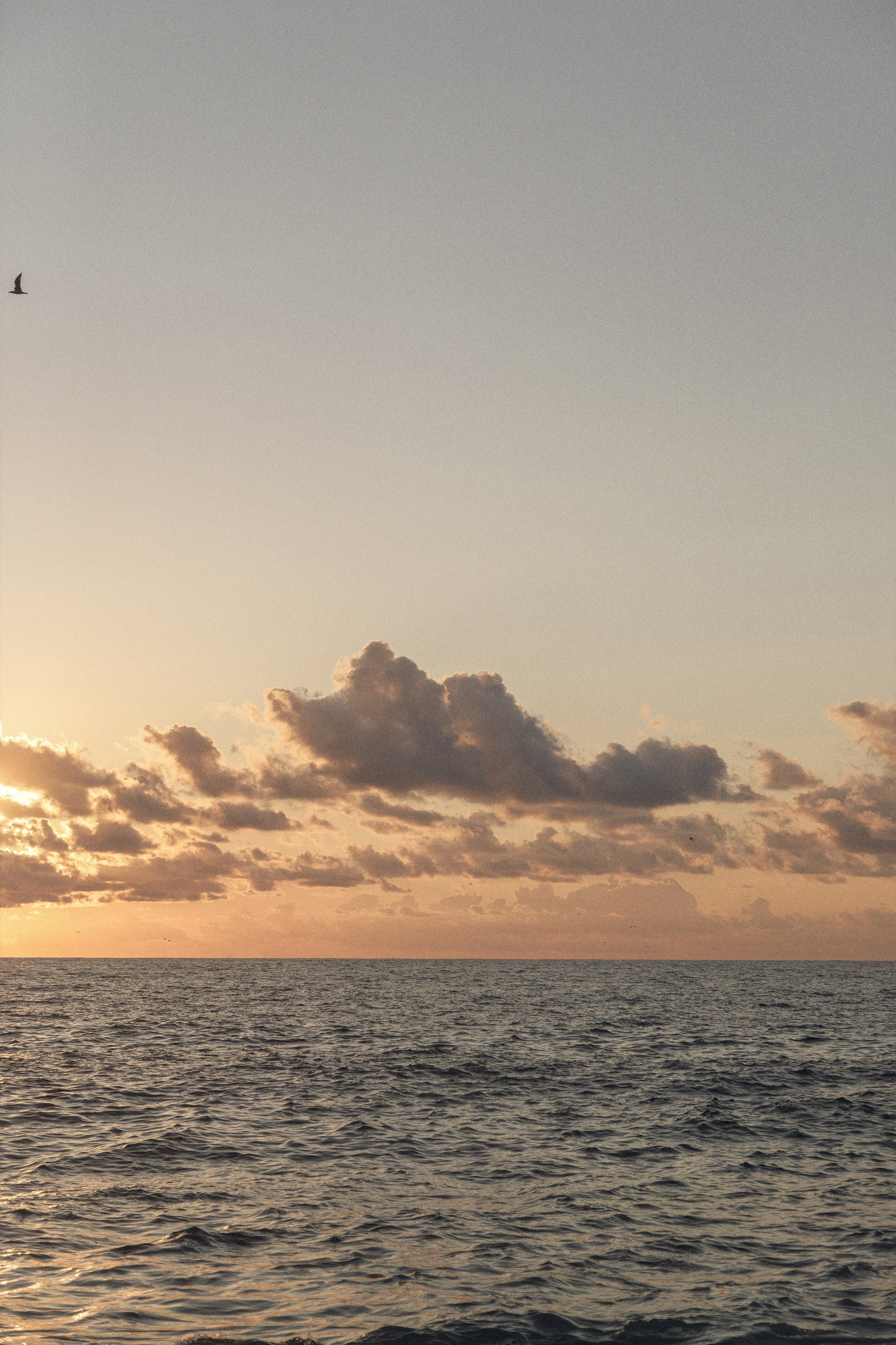 Морская фотосессия в Батуми