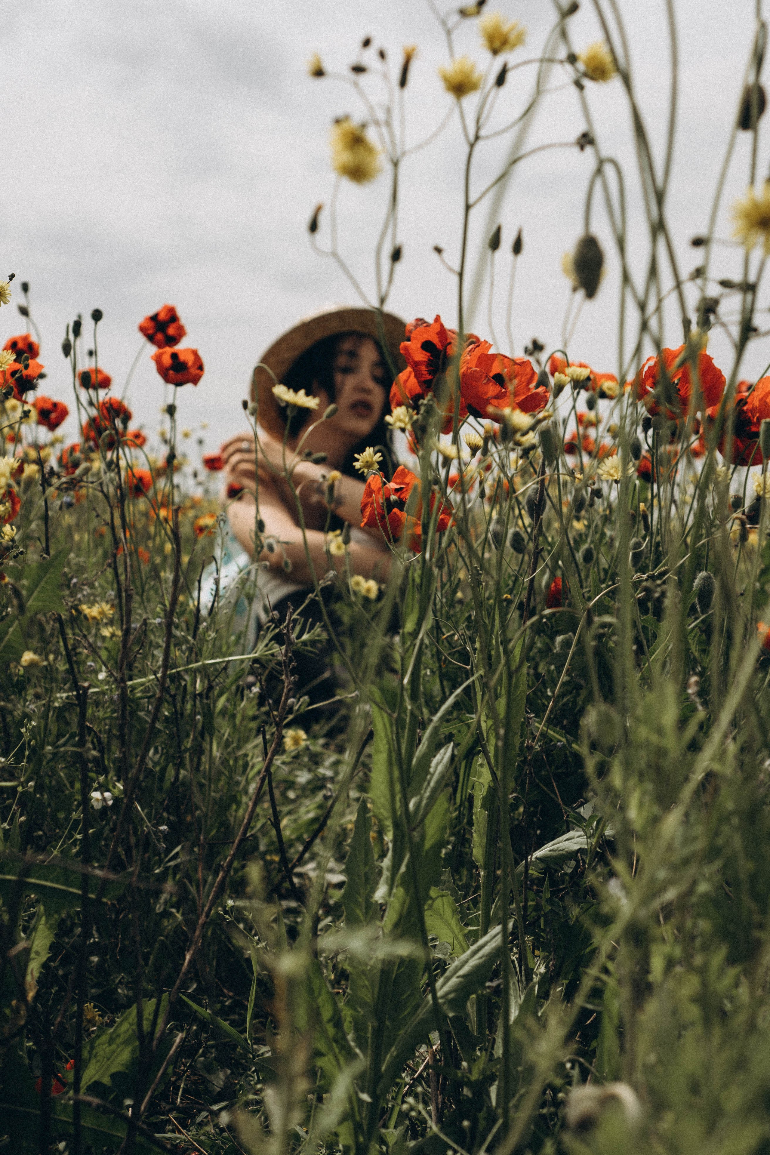 Цветочная поляна. Профессиональный фотограф, Санкт-Петербург — Виктория Богомолова