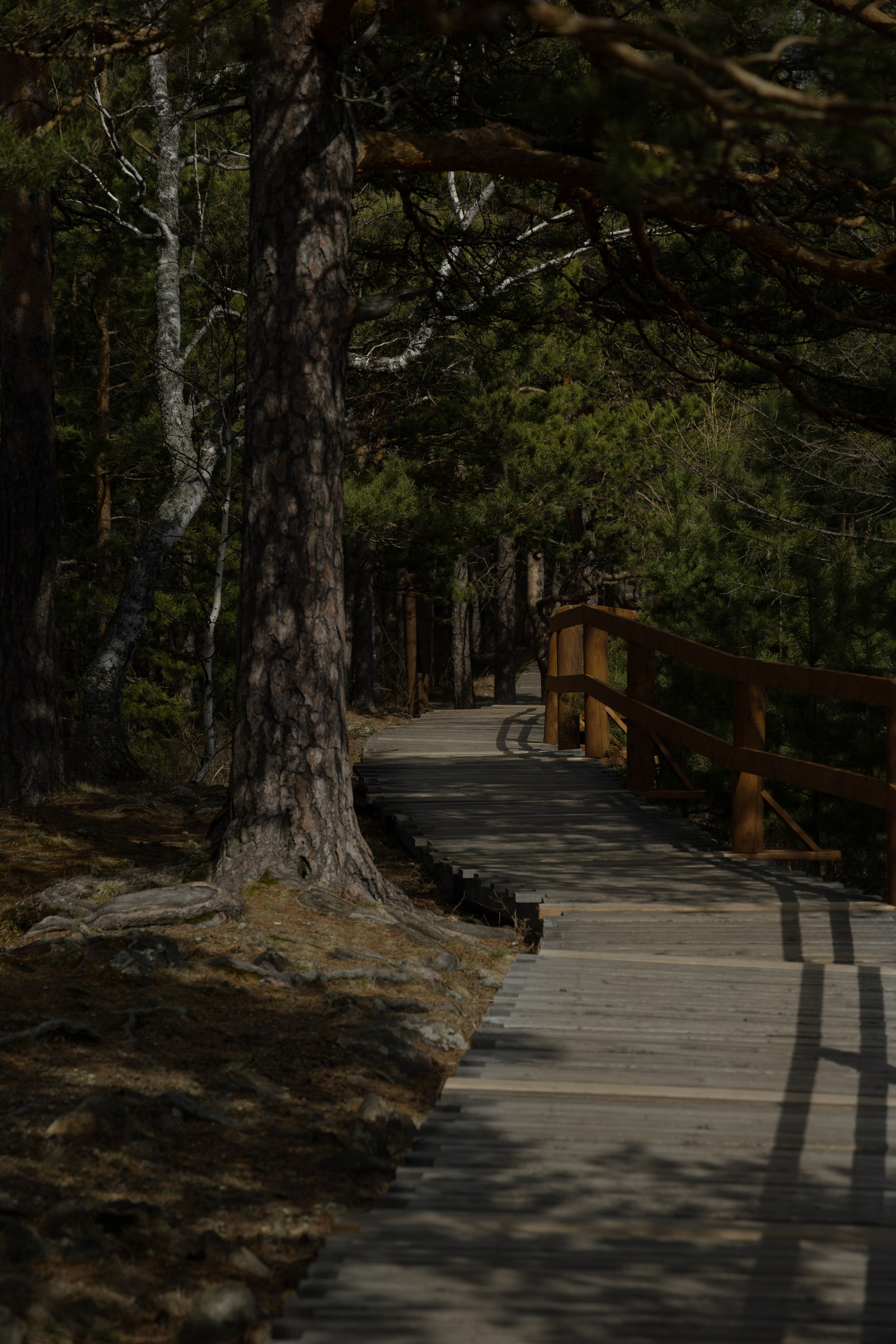 Красноярск. Портретный и уличный фотограф в Москве Таня Корнеева