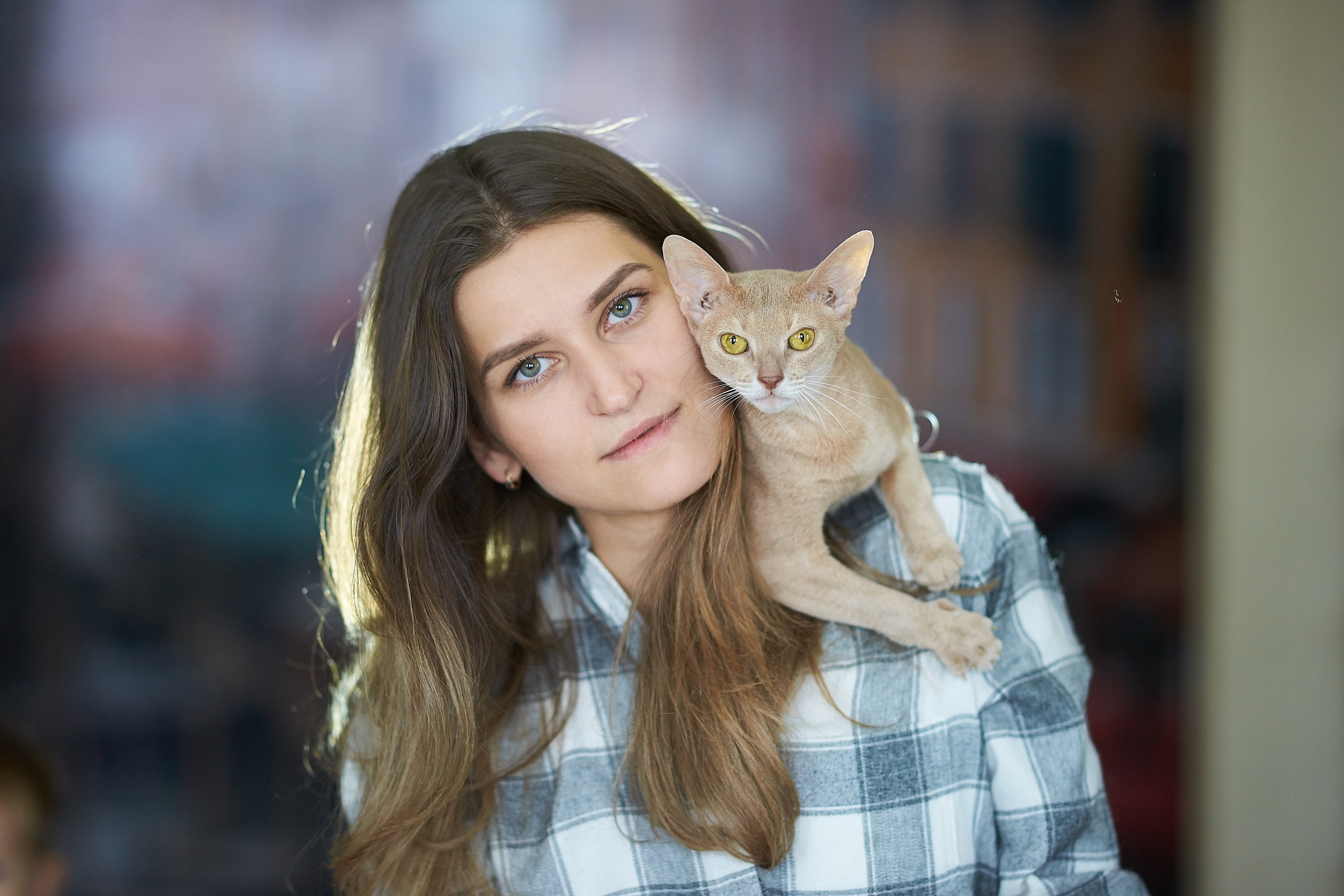 Наташа и котики. Анна Катасонова