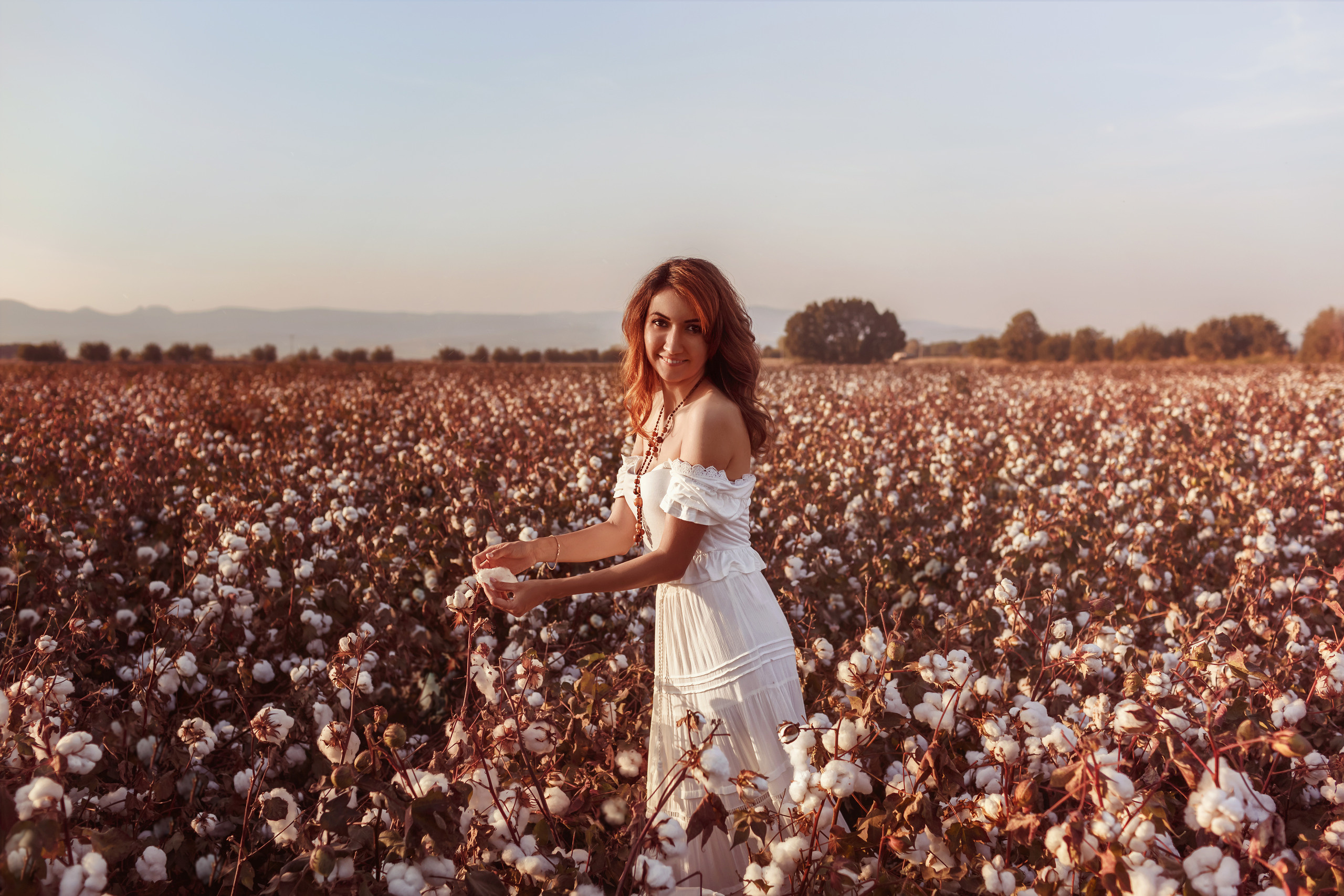 A photo session in the cotton field