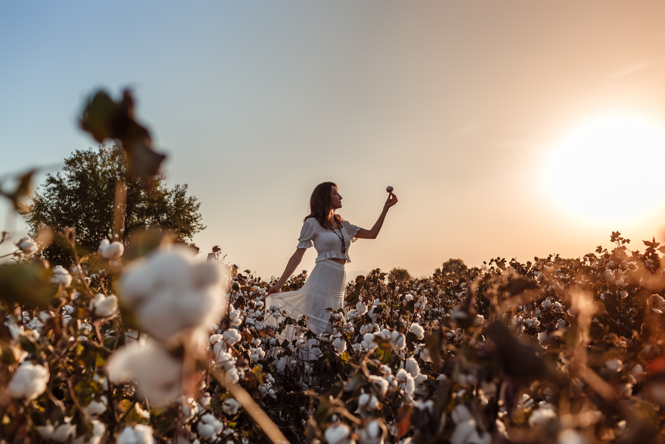 A photo session in the cotton field