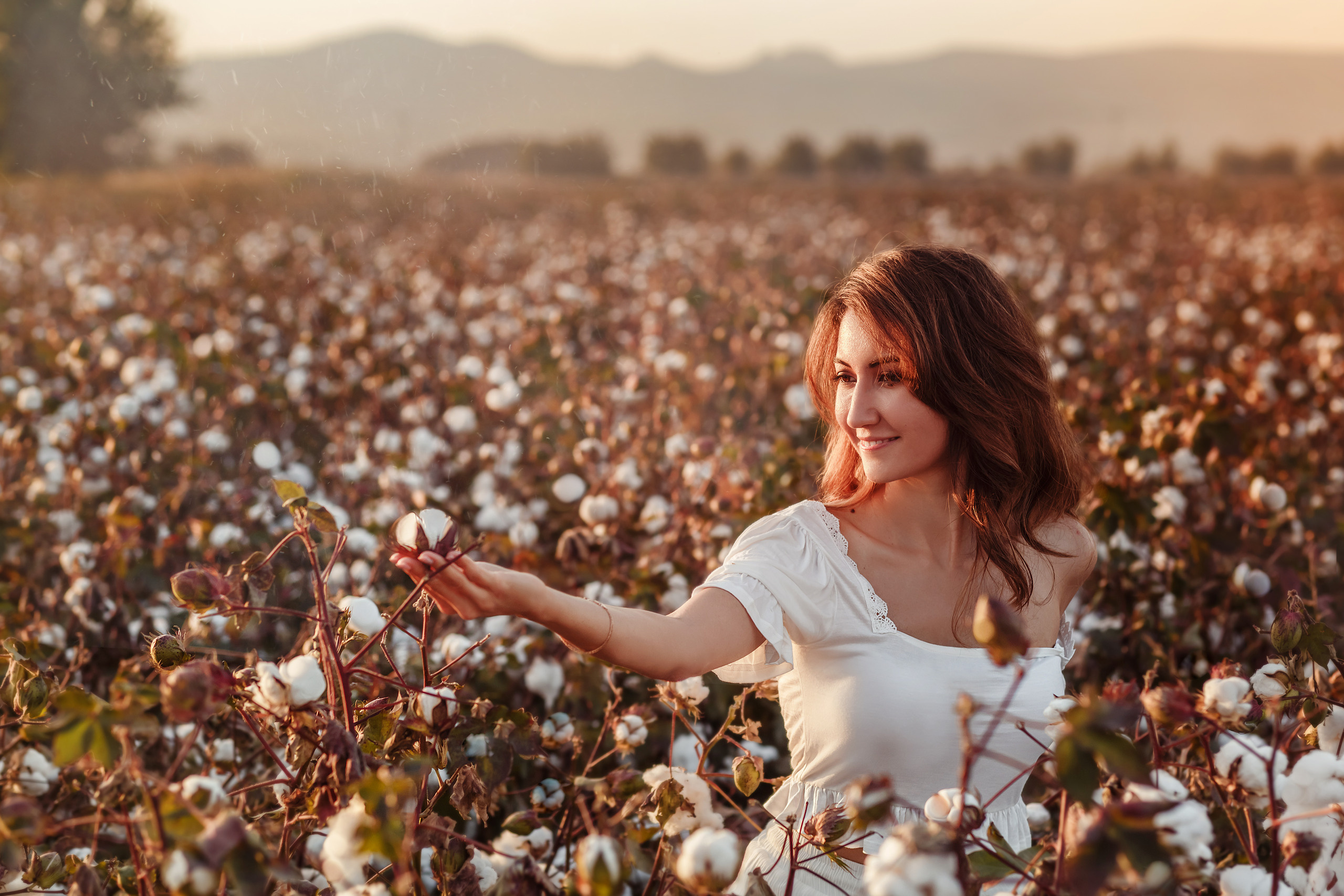 A photo session in the cotton field