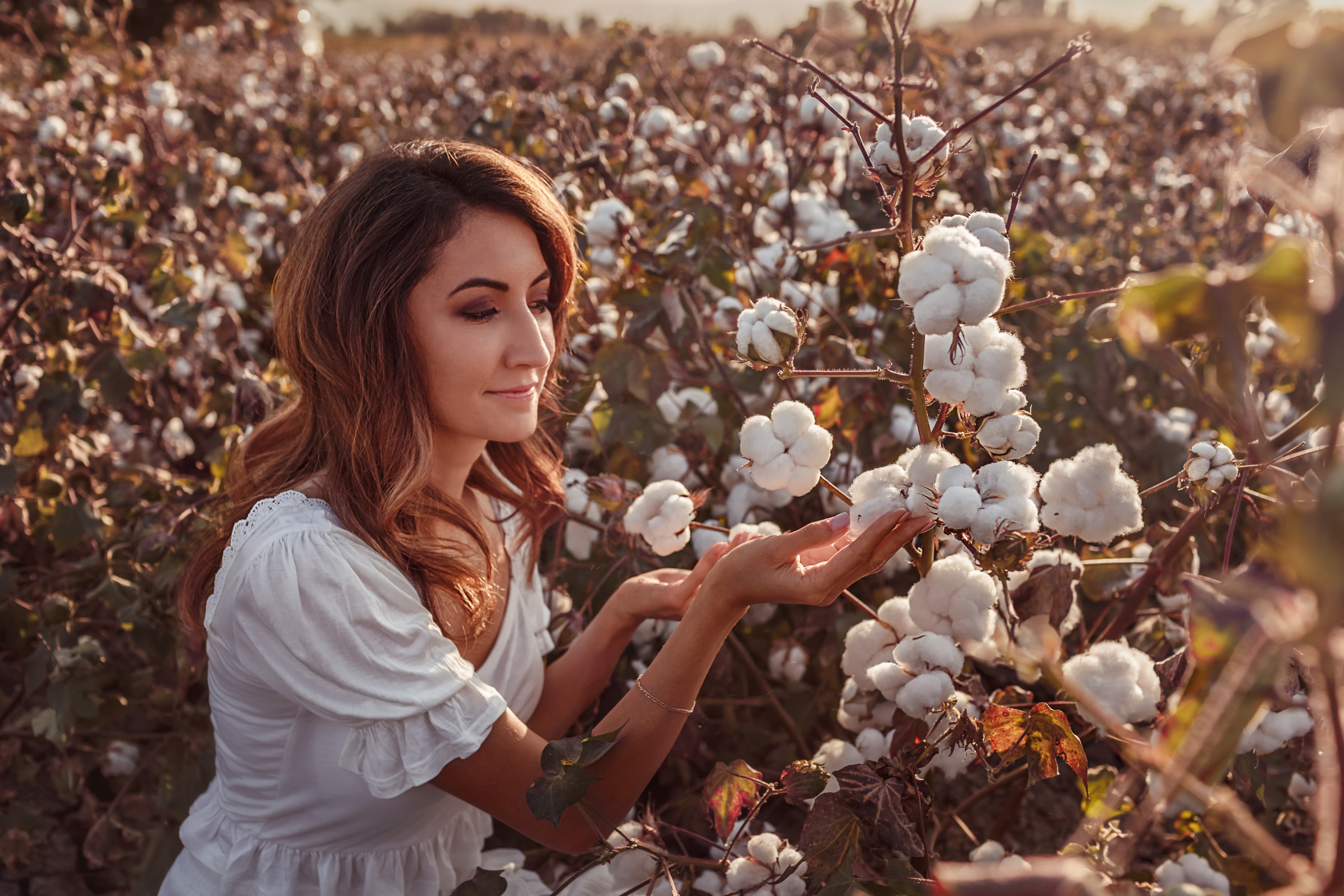 A photo session in the cotton field