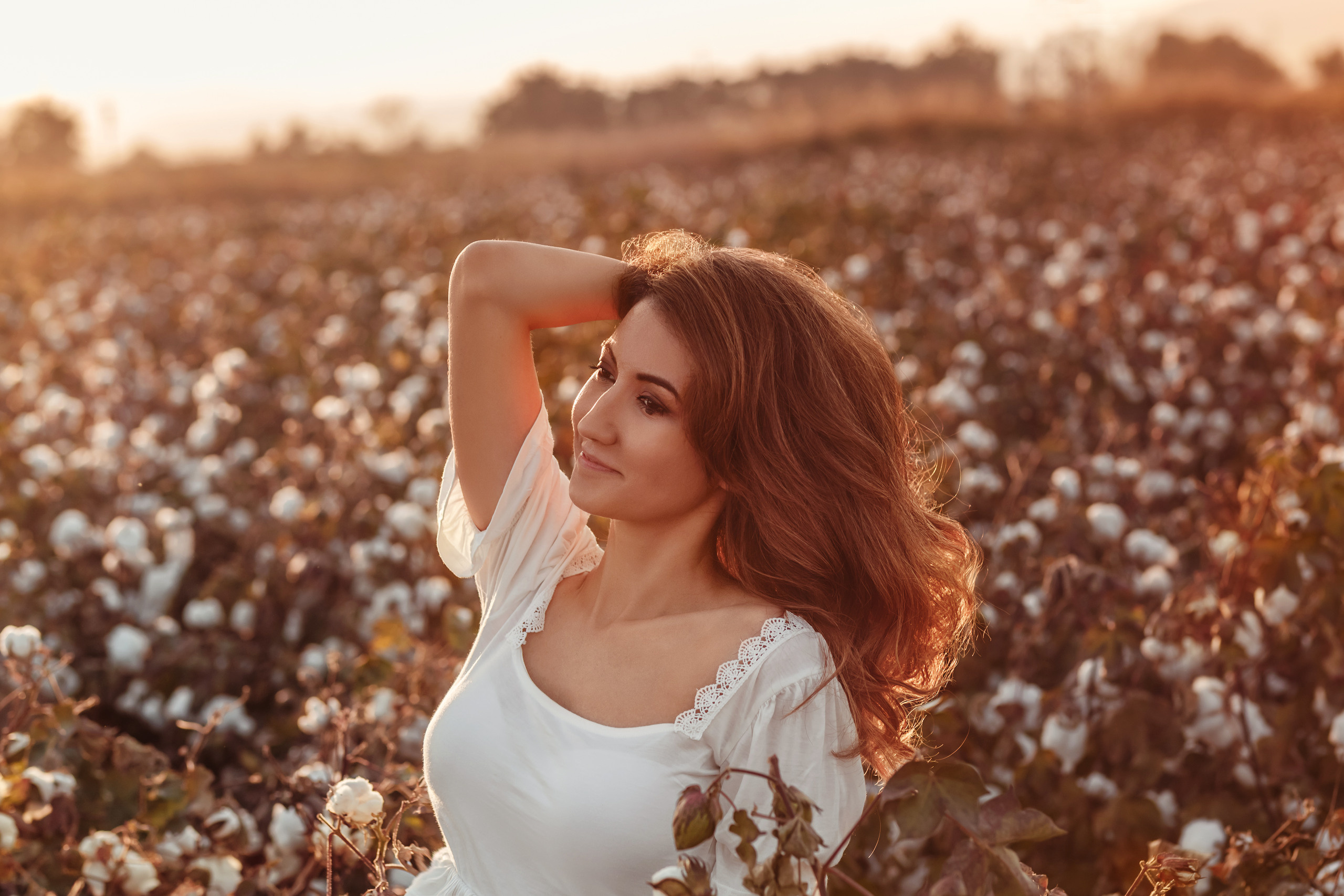 A photo session in the cotton field