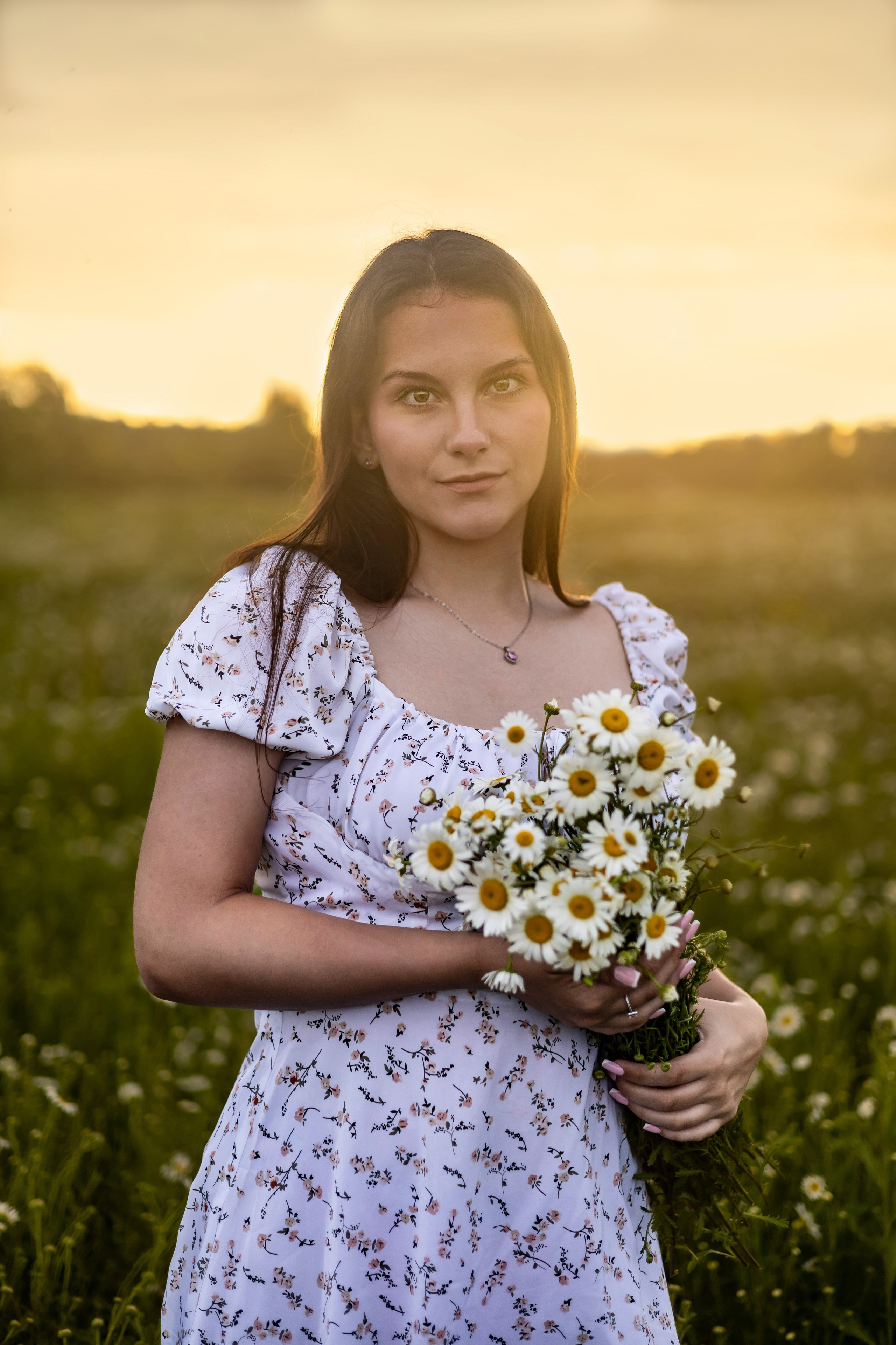 Поле ромашек