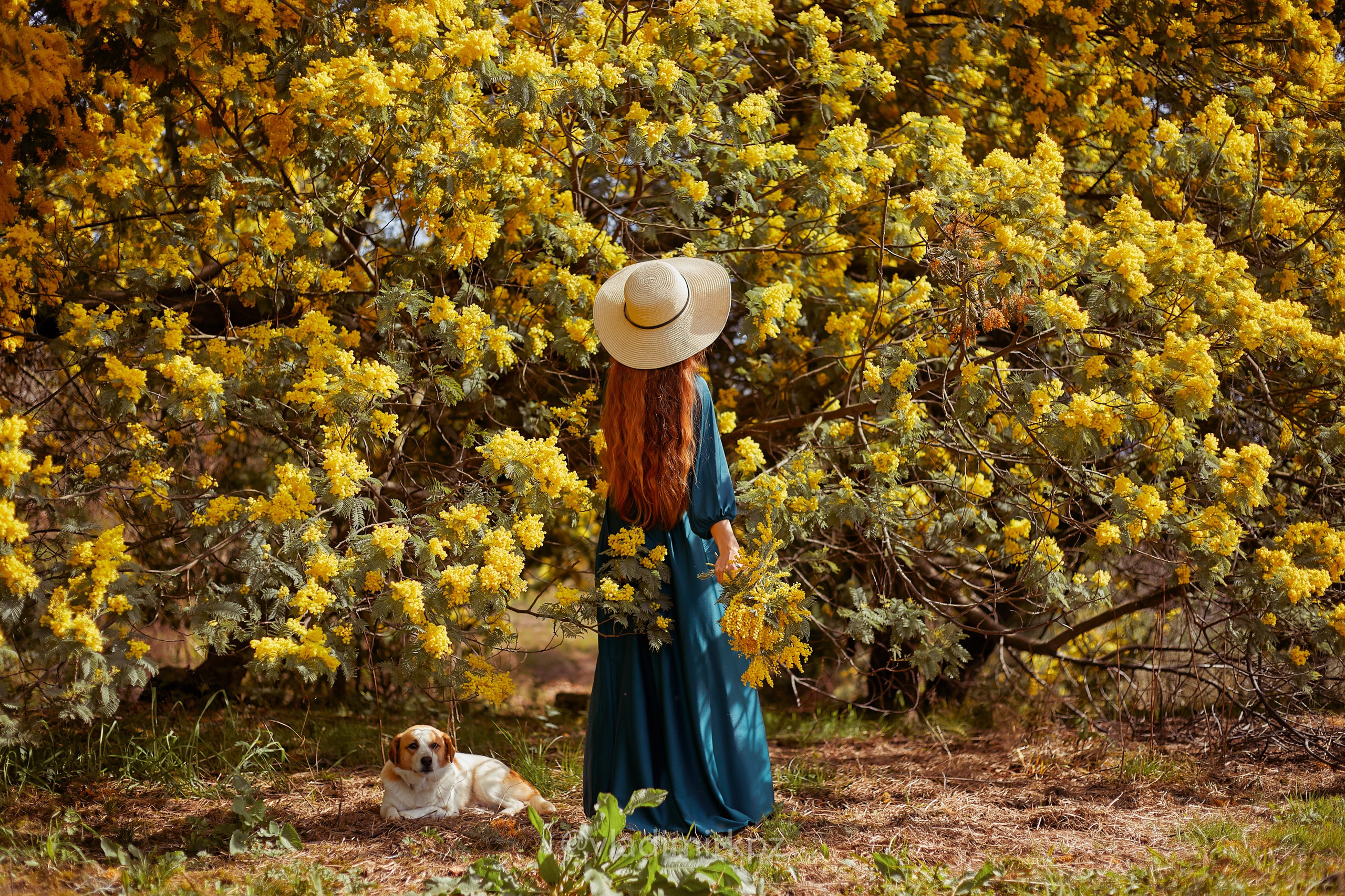 Пртретная фотосъемка в абхазии. Фотограф Абхазия