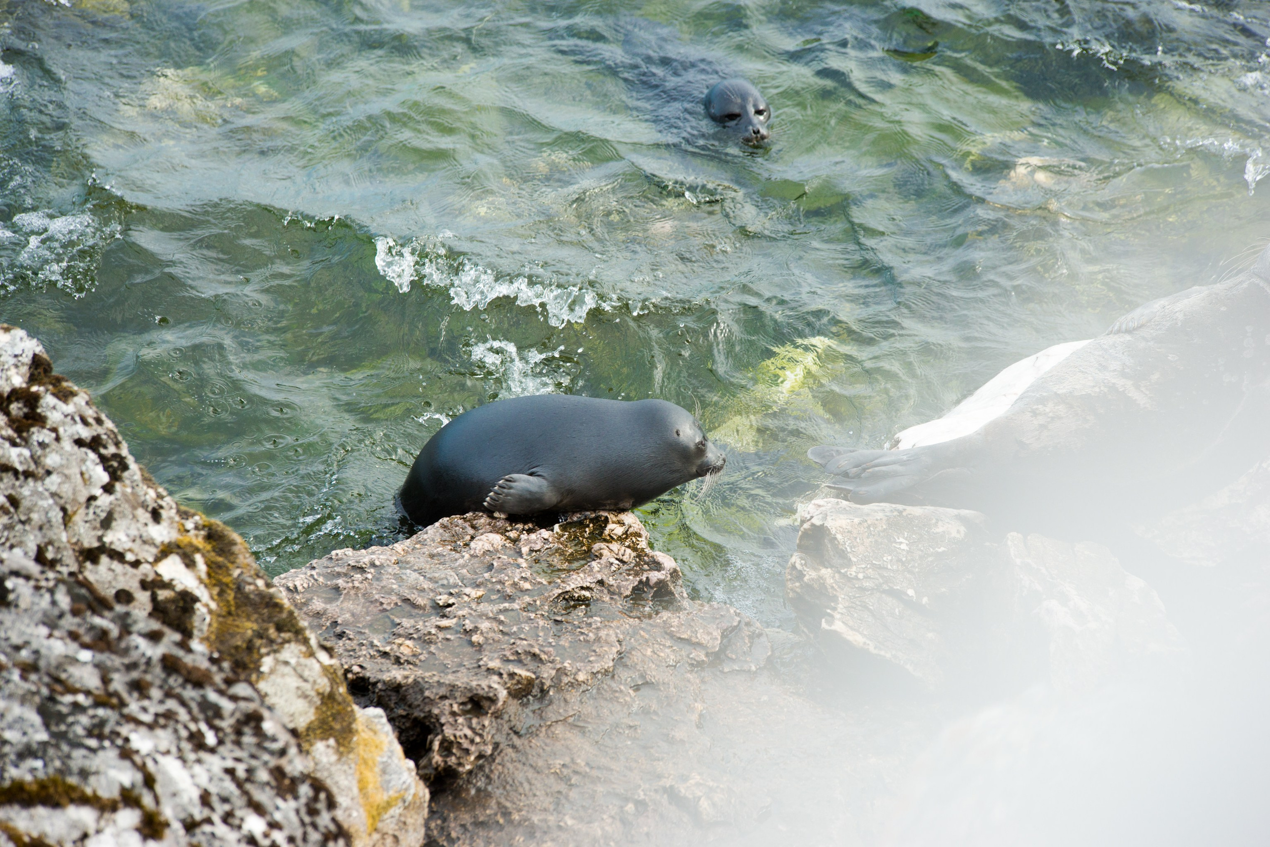 Фотографии озера Байкал. Петр Ступень. Свадебное, семейное фото и видео. Москва. Краснодар