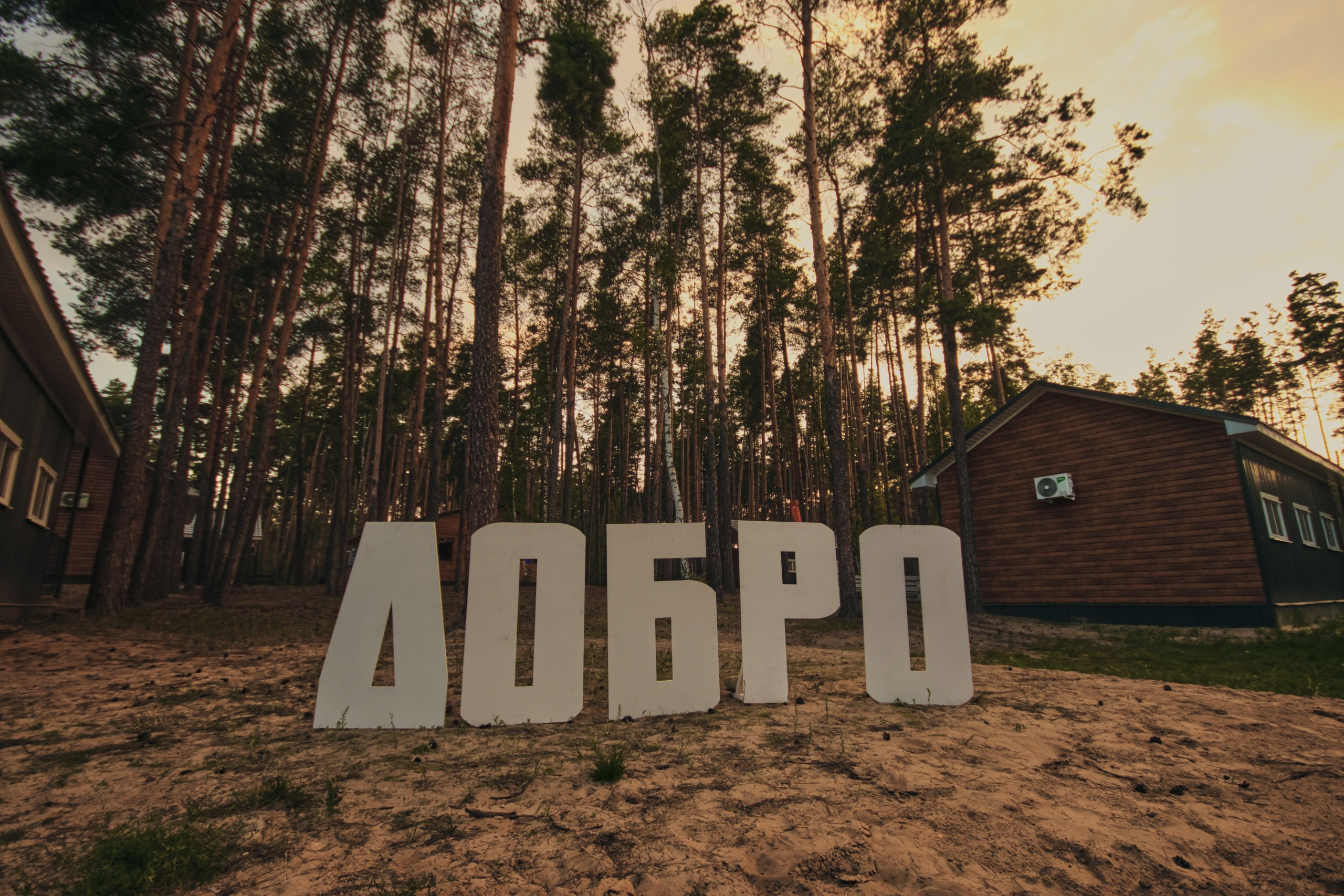 Молгород 2025 Смена 1. Свадебный и репортажный фотограф Дмитрий Кононенко