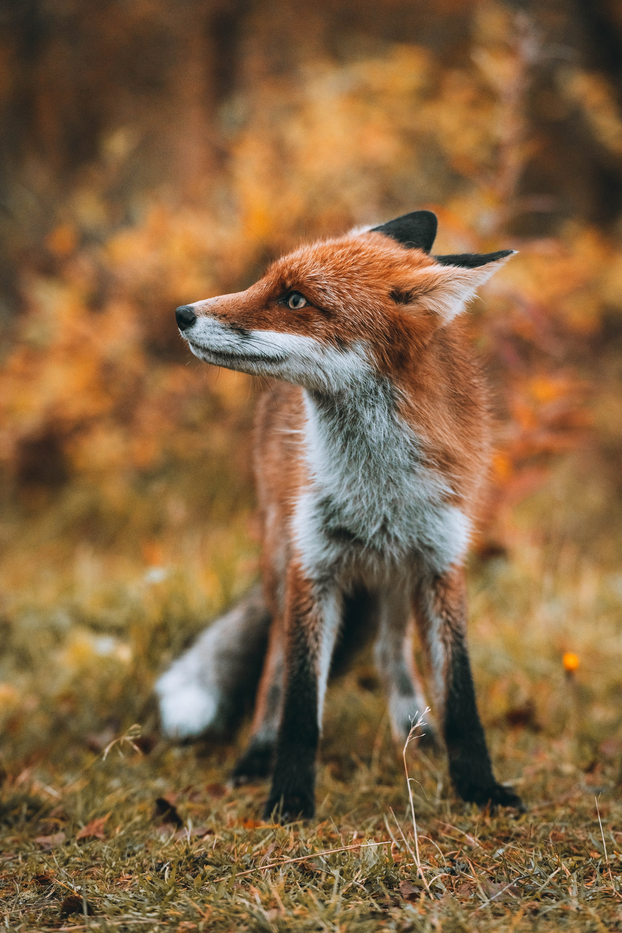 СЕВЕР. Event фотограф Степанова Александра
