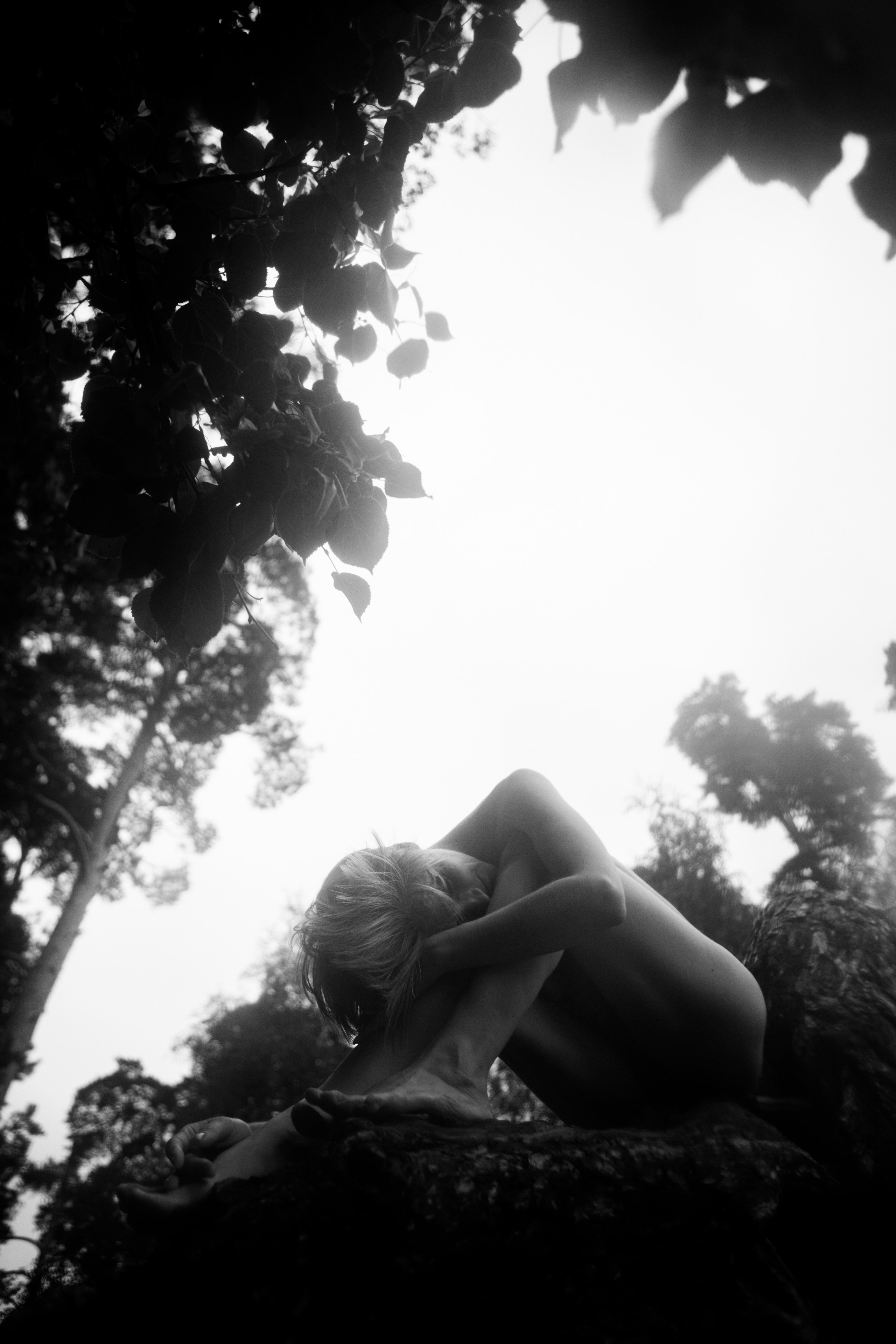 Сосны. Ольга Пилант. АРТ, бэкстейдж, свадебная и семейная фотография, городской портрет, интерьерная фотография