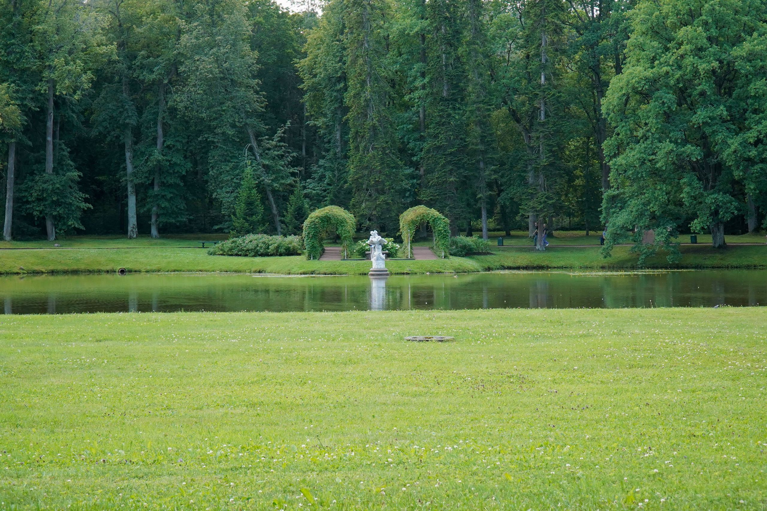 ОРАНИЕНБАУМ. Июль 2024. Фотограф Наталья Погодина в г. Обнинске