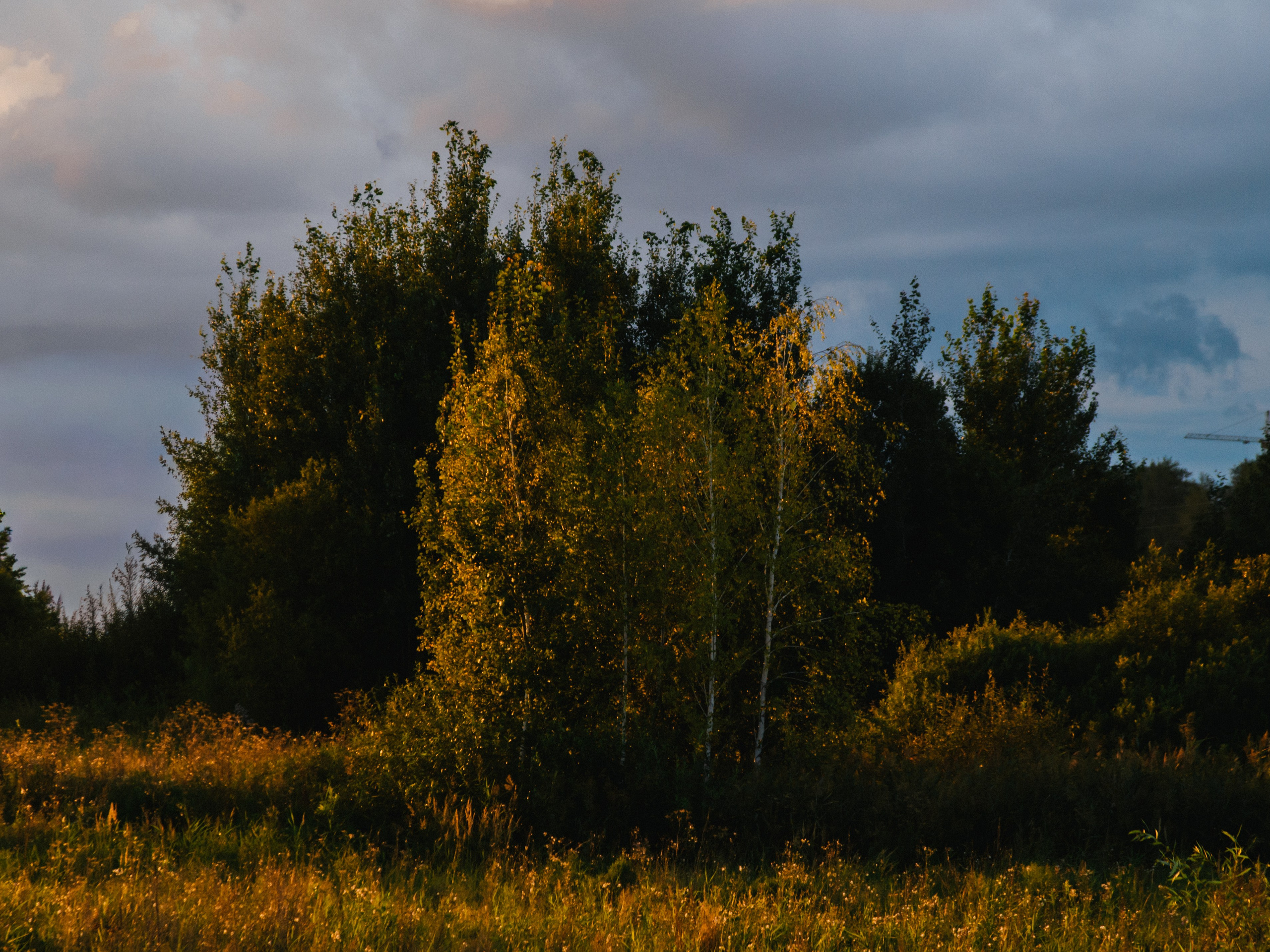 Обучение. Фотограф Денис Труштин | dentrushtin
