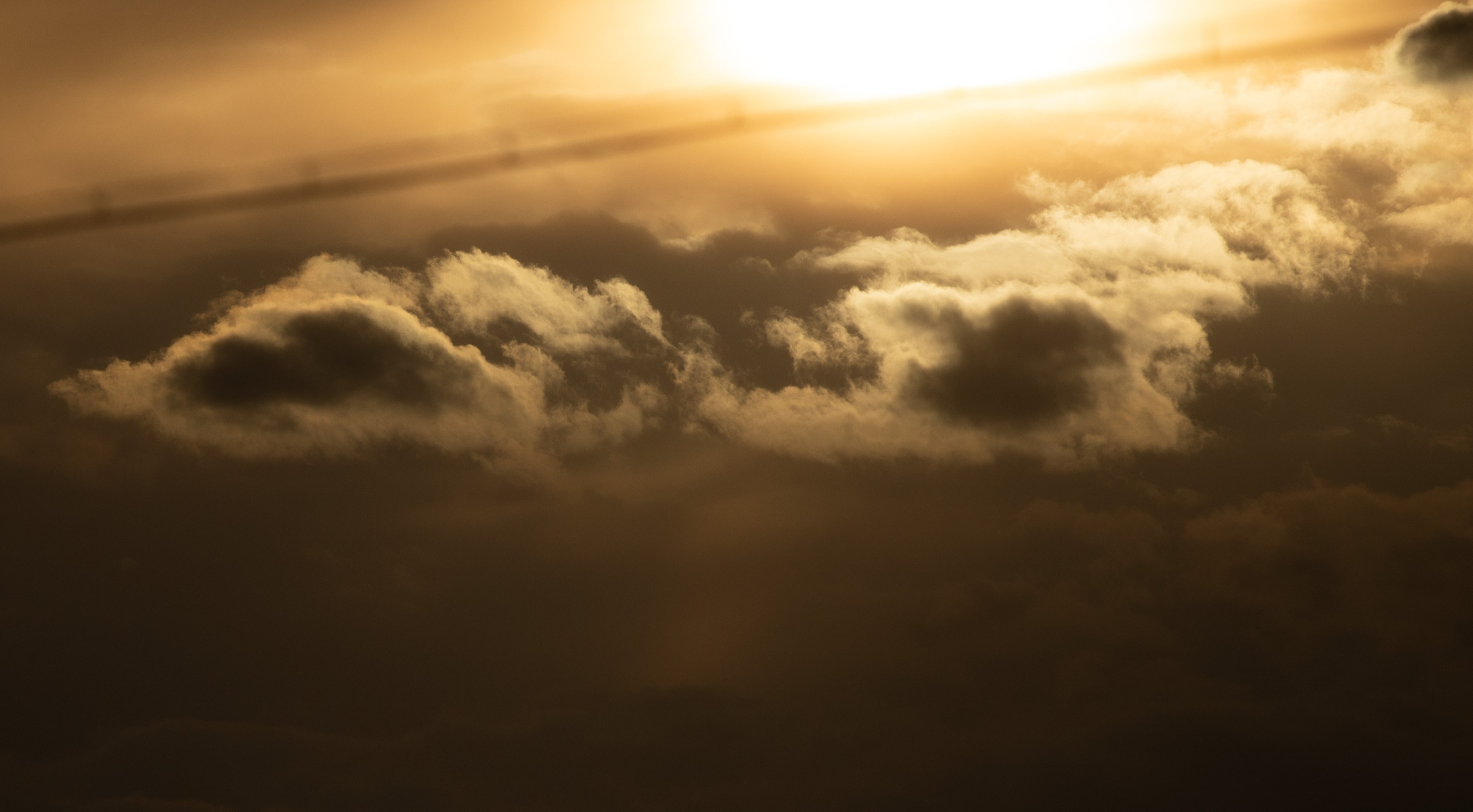 Фотошкола. Творческая Таты Пахомовой