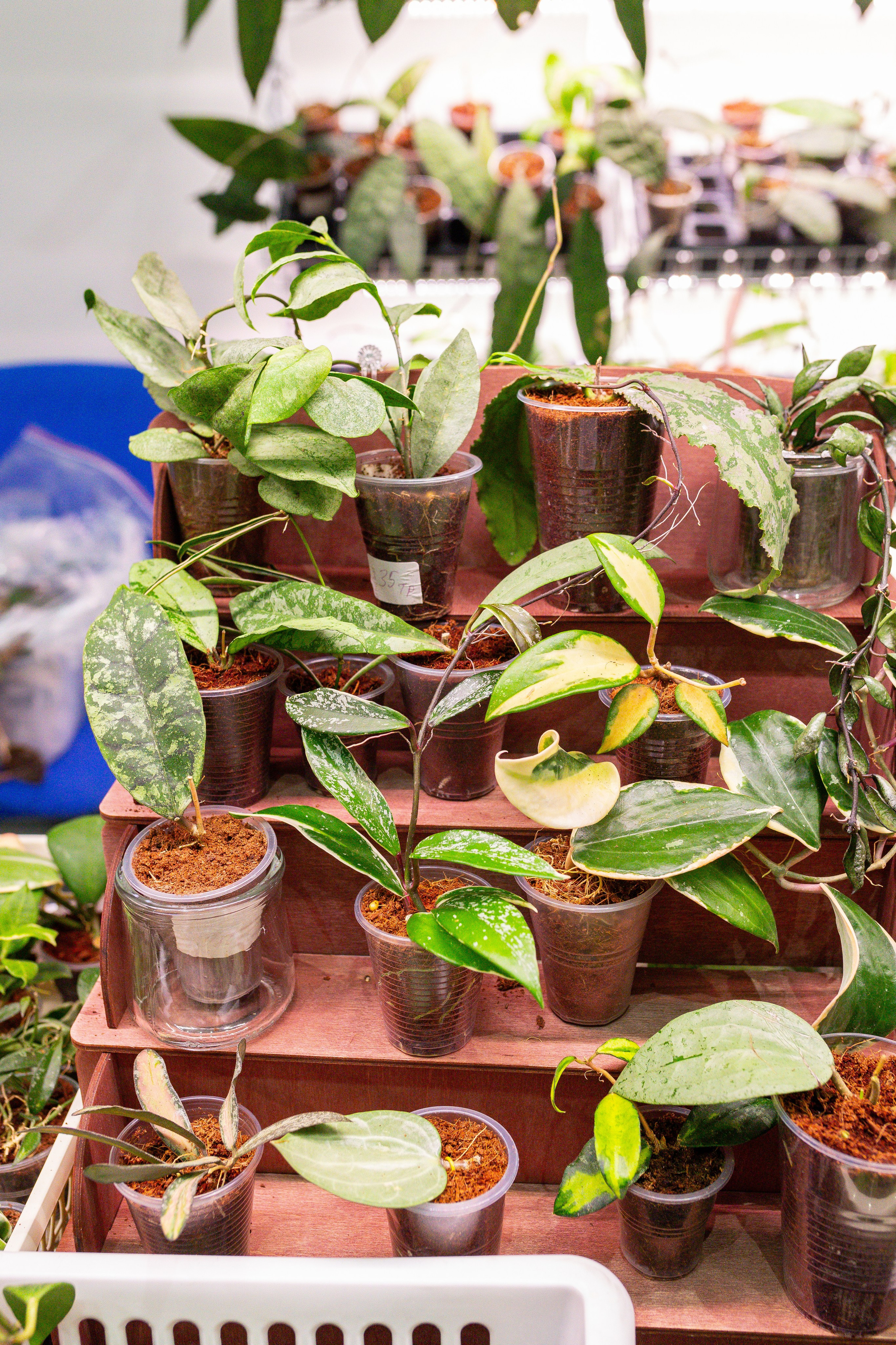 Монстериум 11–12 октября. Александра Куликова фотограф, Москва