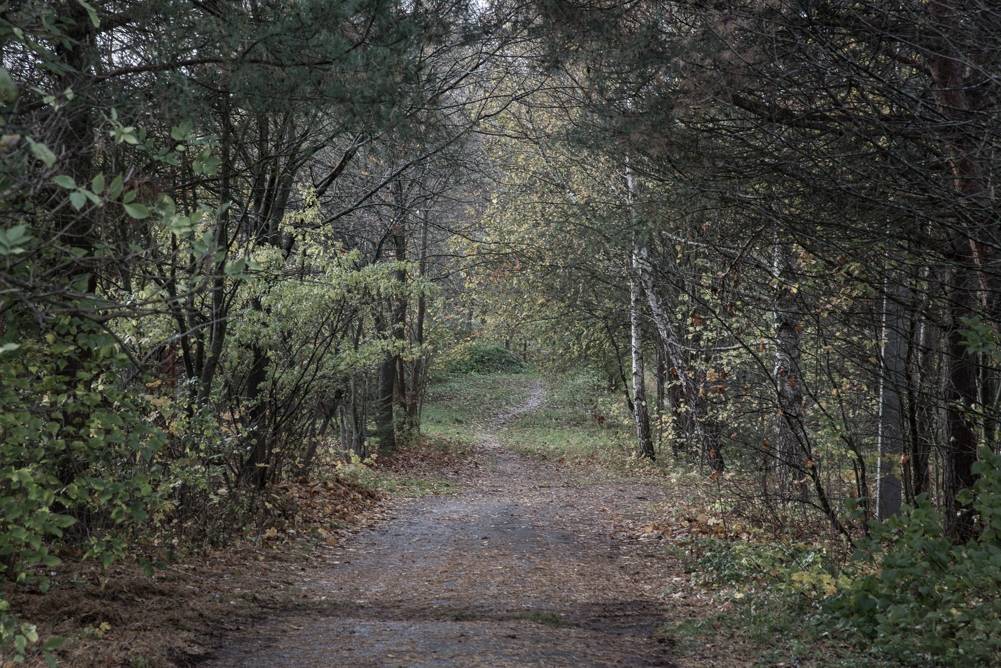 Мы прорастем травой. Yulia Nevskaya, documentary photographer and photojournalist