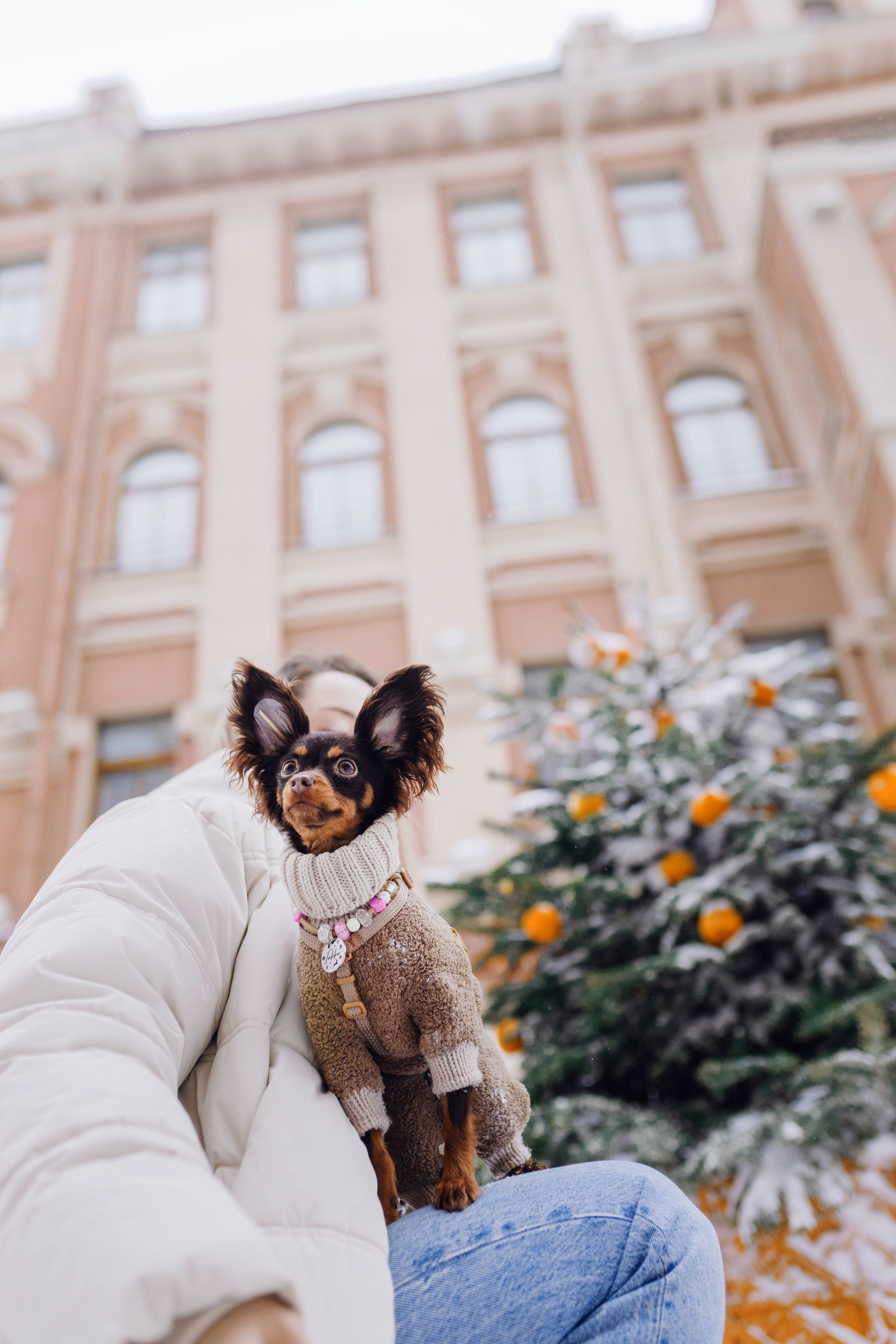 Москва / Даша и Тикки. Фотограф Кузина Вера