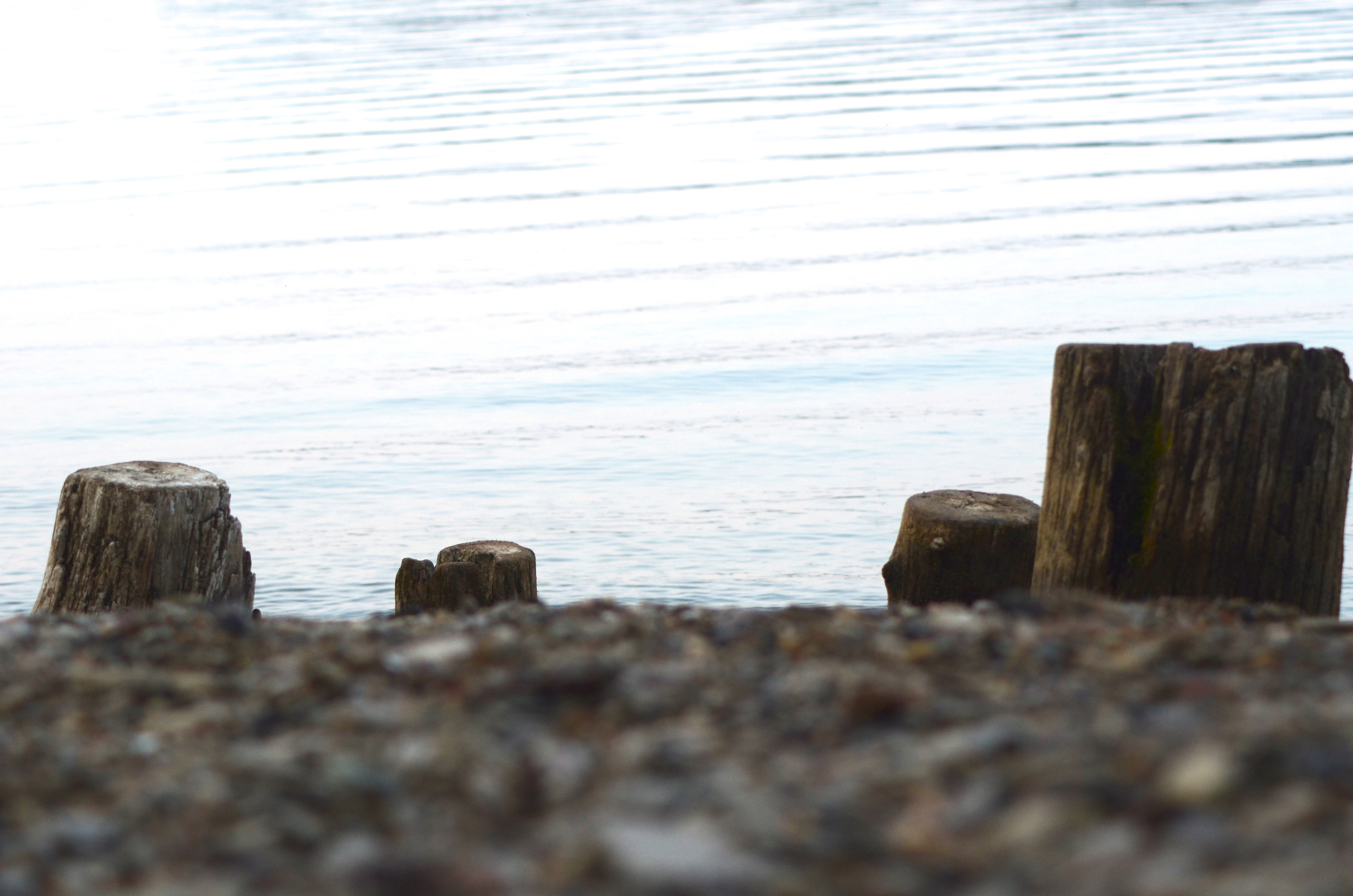 Системы хранения с фасадами из дикого дерева. Авторская фотография. Близнецовые пламёна