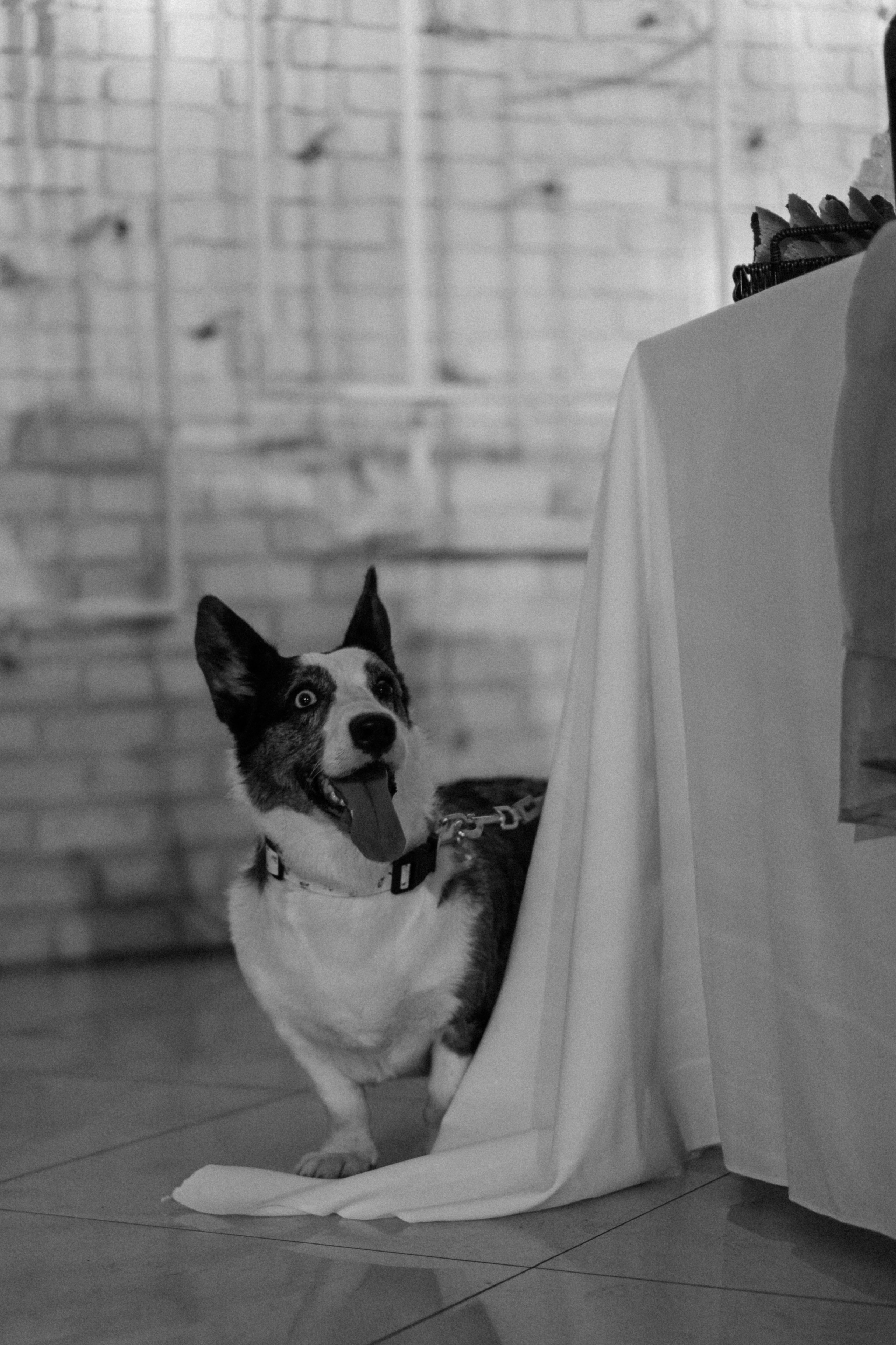 Кристина&Михаил. Свадебный фотограф в Санкт — Петербурге