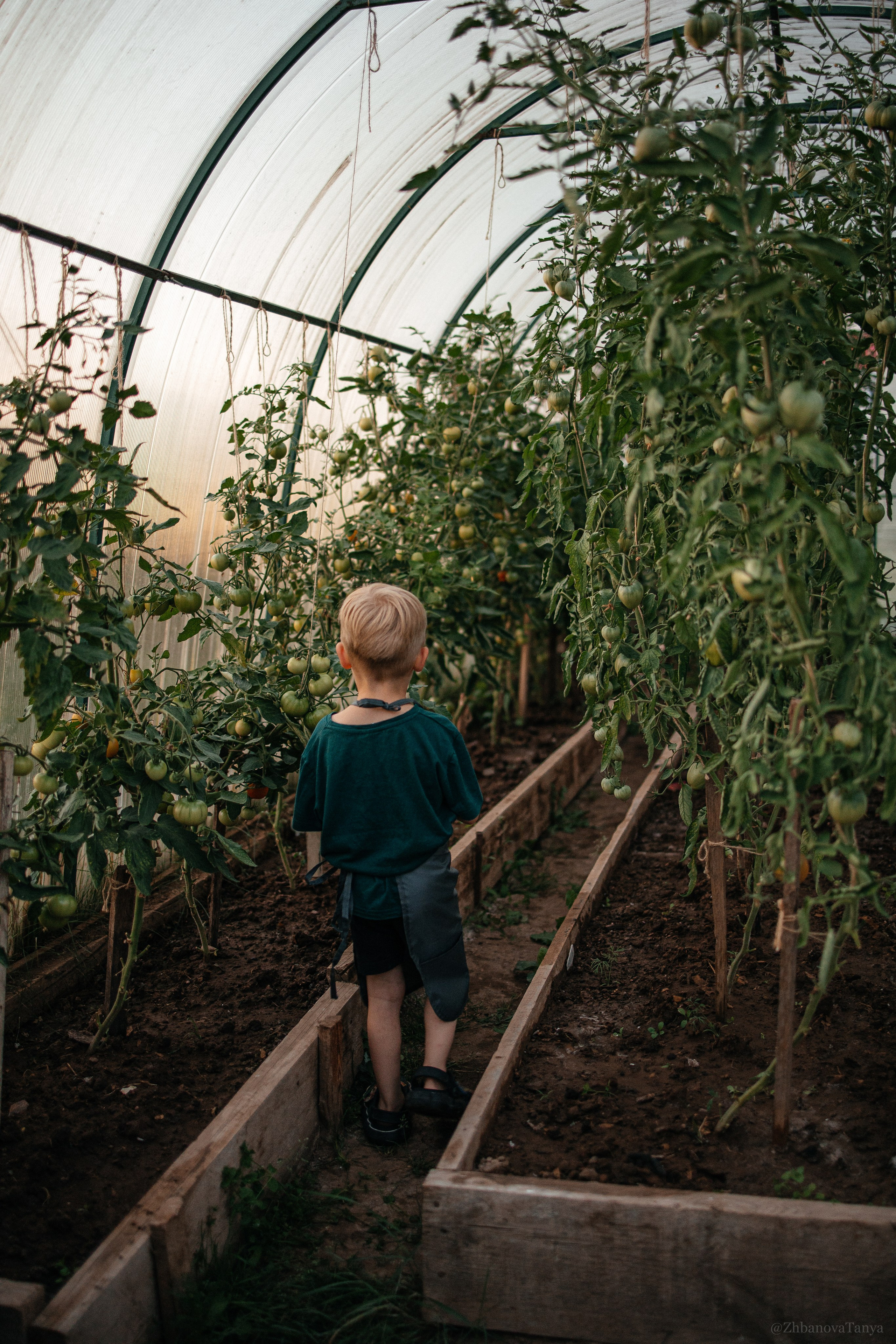 Семья/ беременность/ дети. Фотограф Татьяна Жбанова