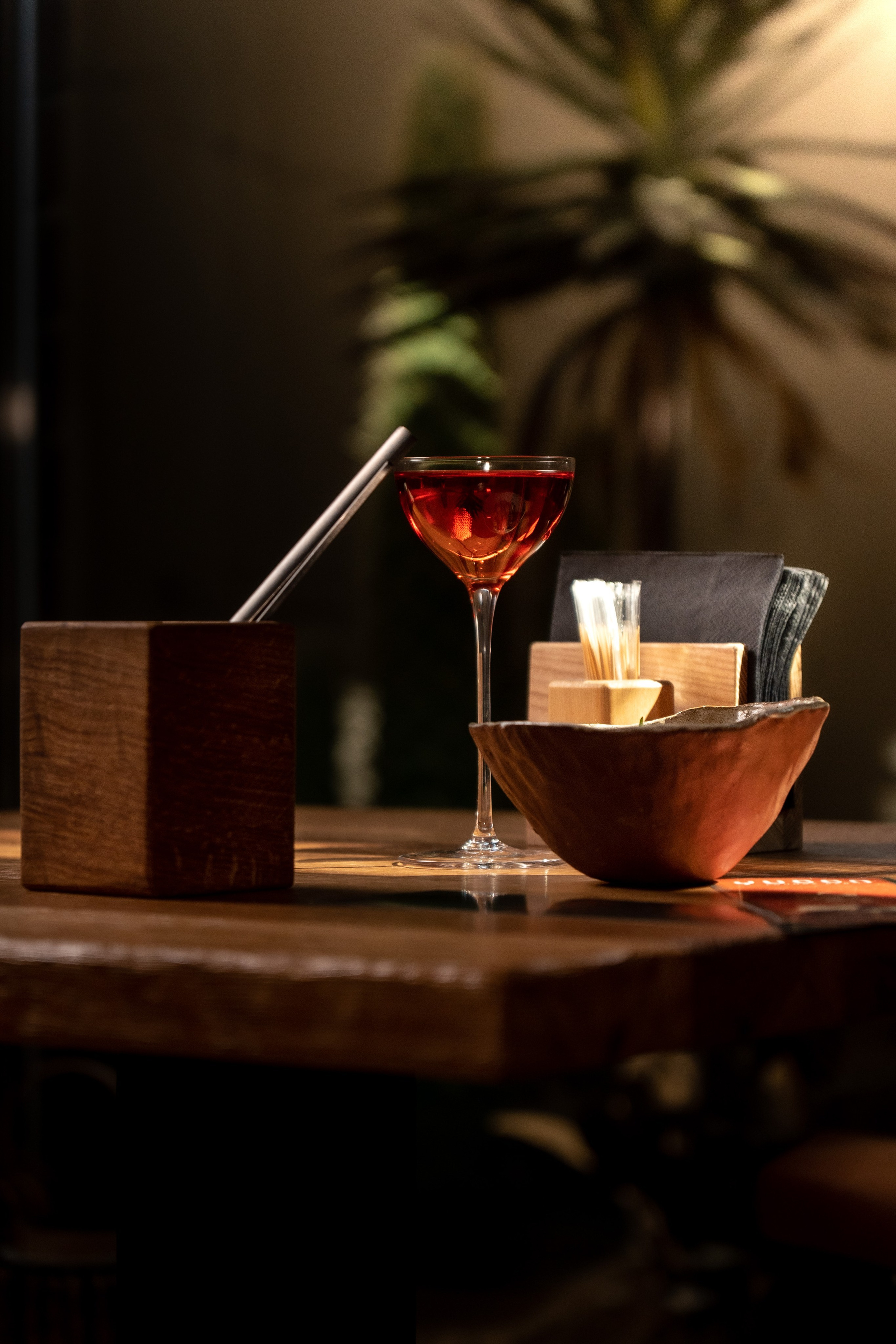 Yucca bar. Фотограф и видеограф Максим Карпов Воронеж