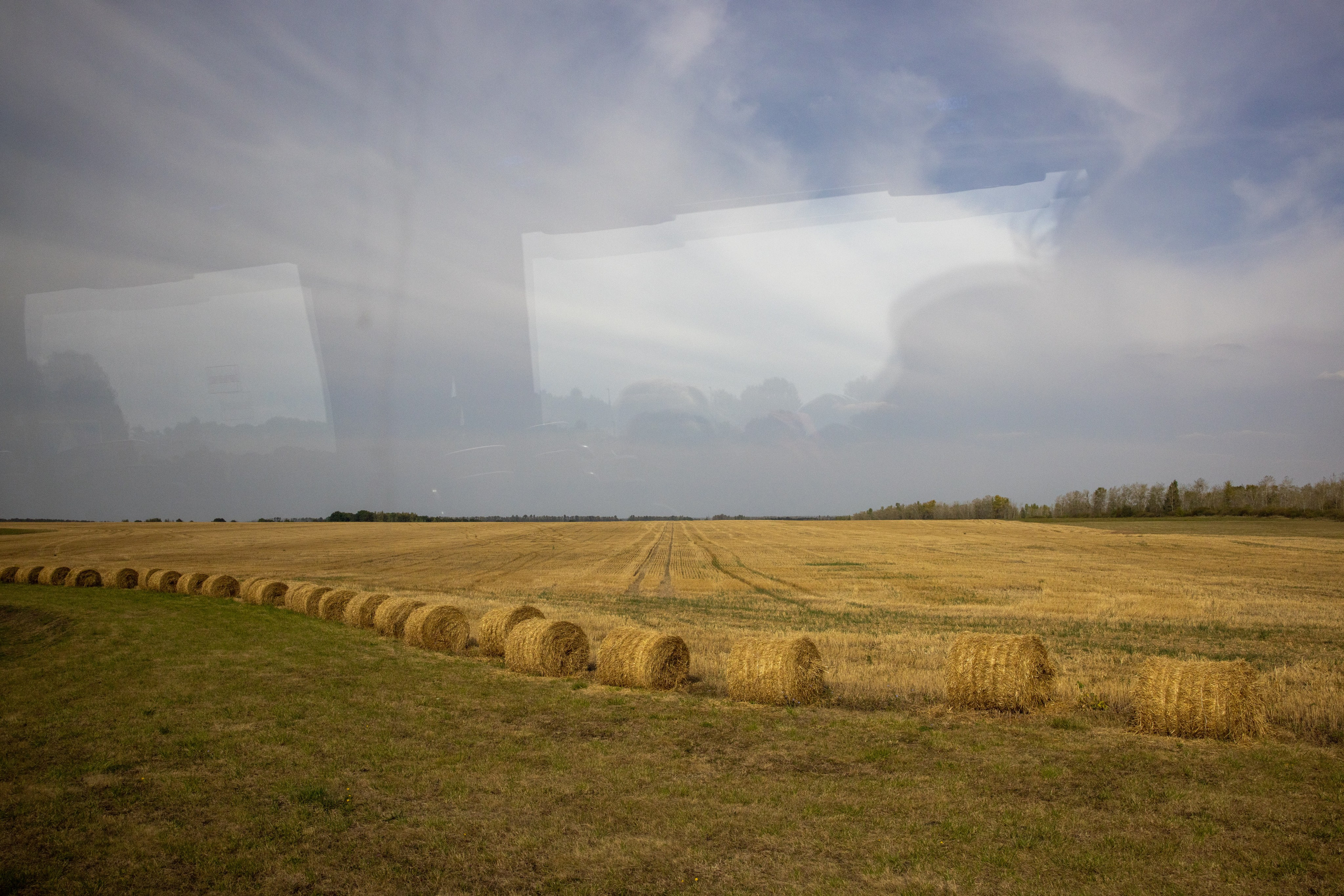 Поездка на поле Кулеково. Фотограф в Туле Крупский АнДРей. Фотостудия «КАДР71» в Туле
