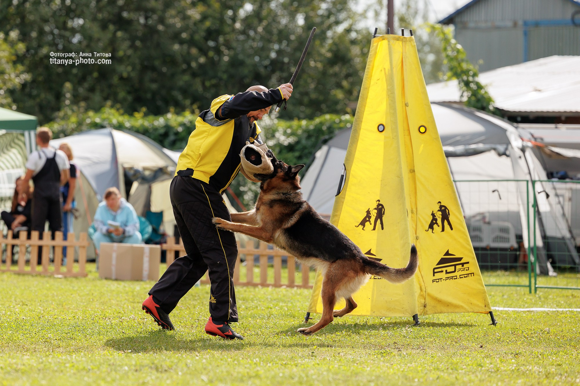 Немецкие овчарки: фото из рингов и вне ринга, мутпроба (фотографии с выставок). Фотограф собак, фотограф-анималист Аня Титова (Titanya). Москва